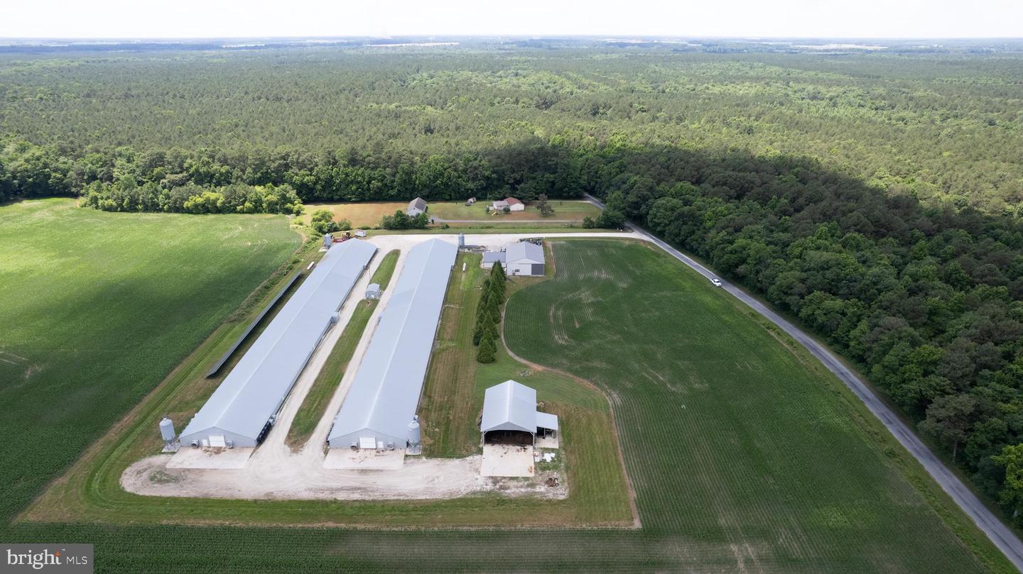 Hurlock, Maryland, 21643, United States, ,Residential,For Sale,1990296