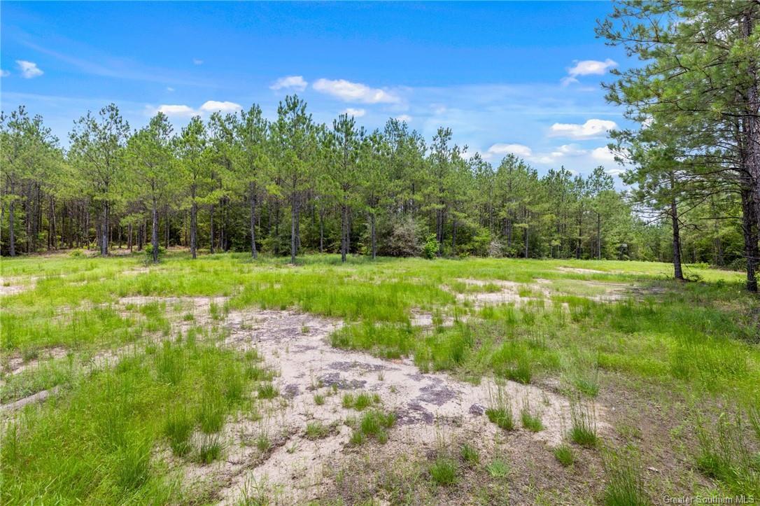 1781 Barham Road, Hornbeck, Louisiana, 71439, United States, 2 Bedrooms Bedrooms, ,2 BathroomsBathrooms,Residential,For Sale,1781 Barham Road,1623067