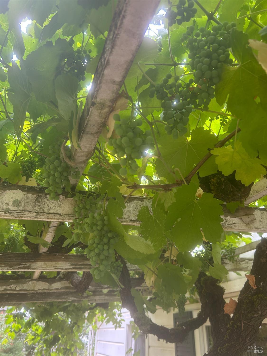 Glen Ellen, California, 95442, United States, 4 Bedrooms Bedrooms, ,3 BathroomsBathrooms,Residential,For Sale,1974615