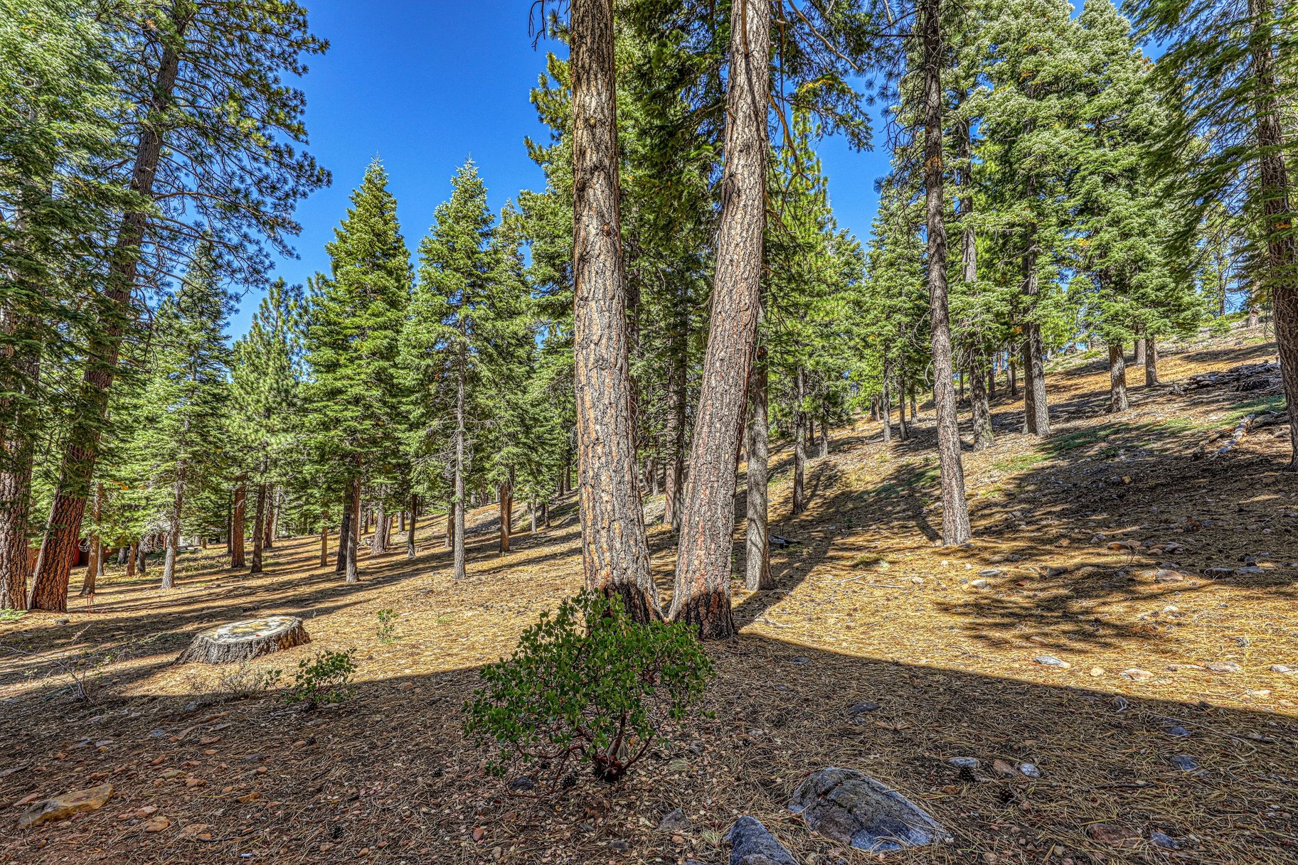  The Northstar Mountain Retreat in Truckee - 物件實景