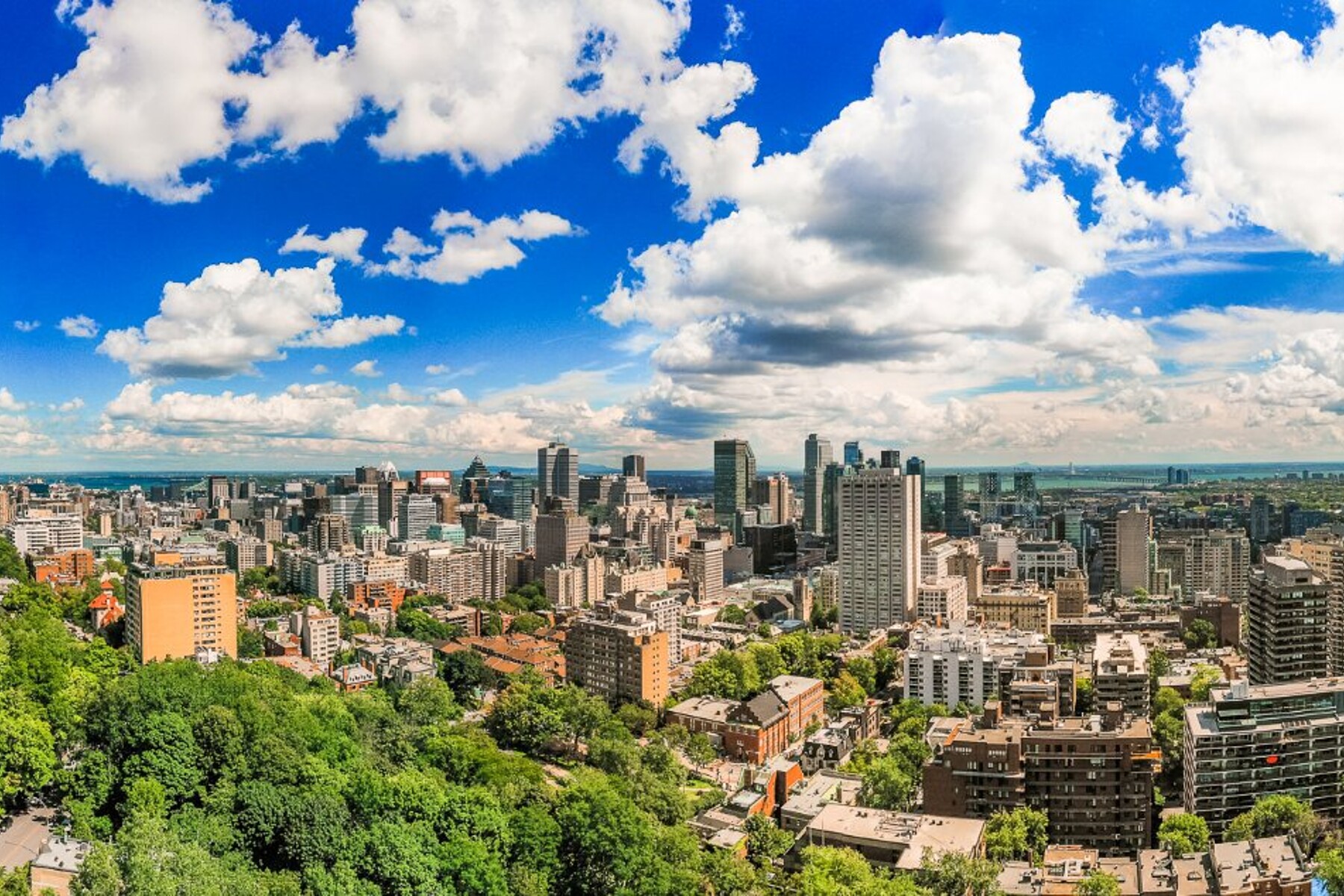  Ville-Marie, Montréal - 物件實景