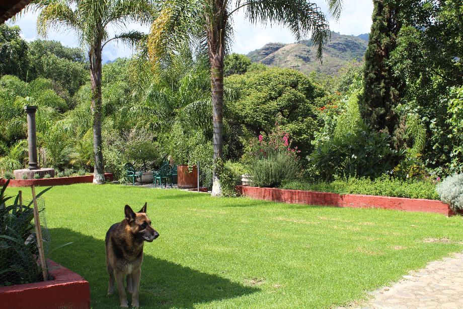 Malinalco, Estado de méxico, 52465, Mexico, 5 Bedrooms Bedrooms, ,6 BathroomsBathrooms,Residential,For Sale,1739306