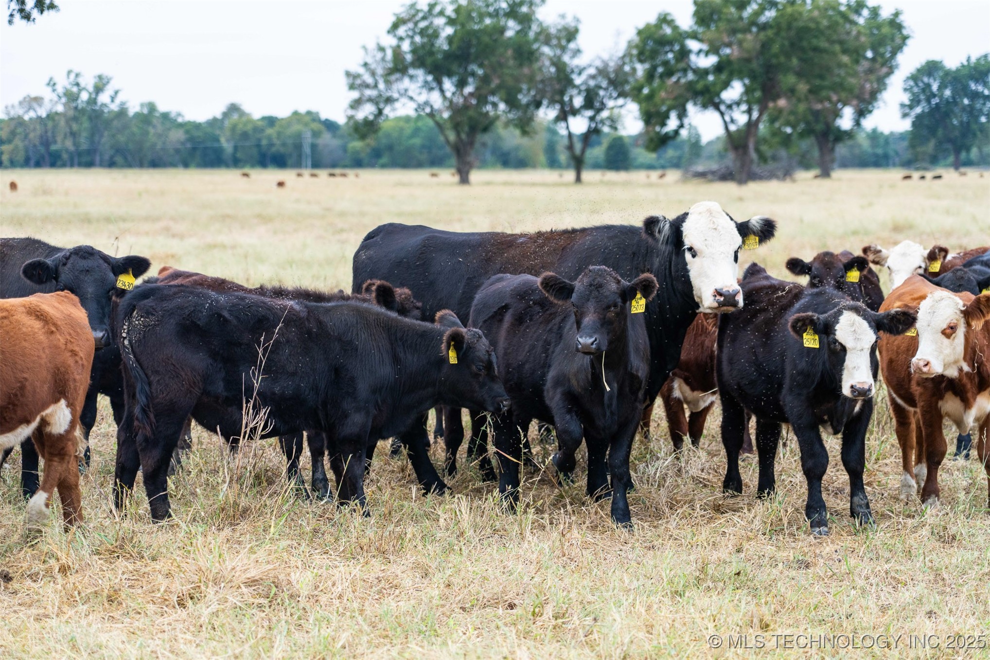 Haskell, Oklahoma, 74436, United States, ,Residential,For Sale,1989058