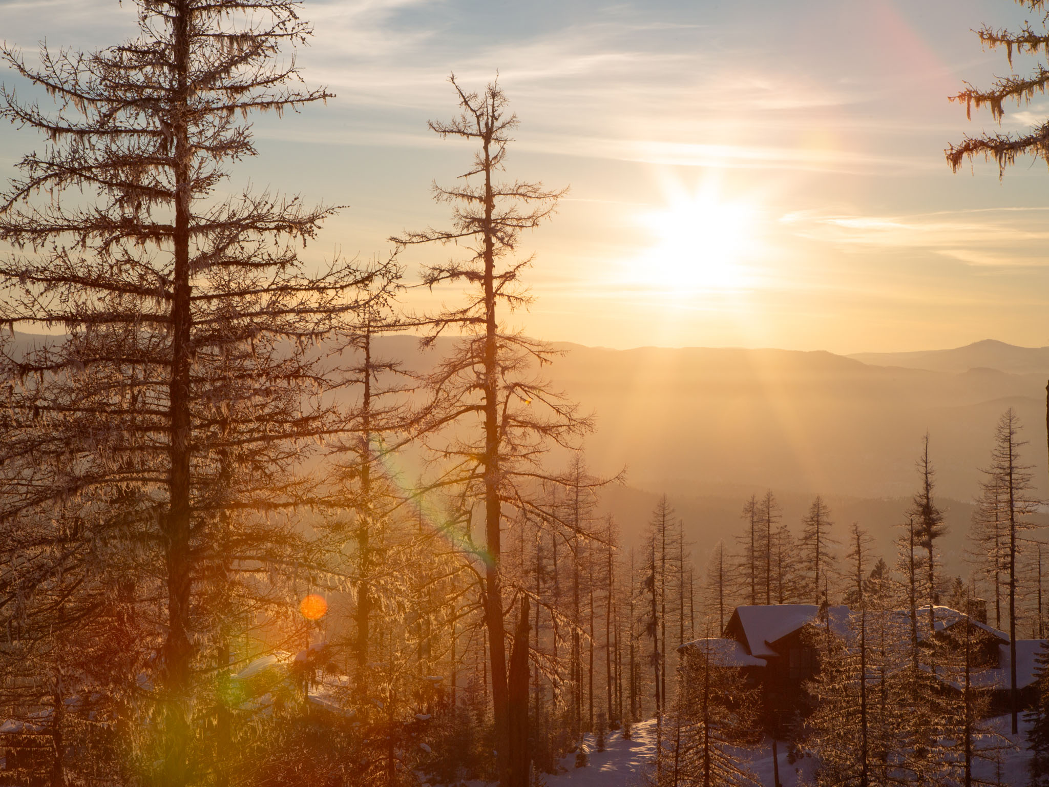  299 Elk Highlands Drive - 物件實景