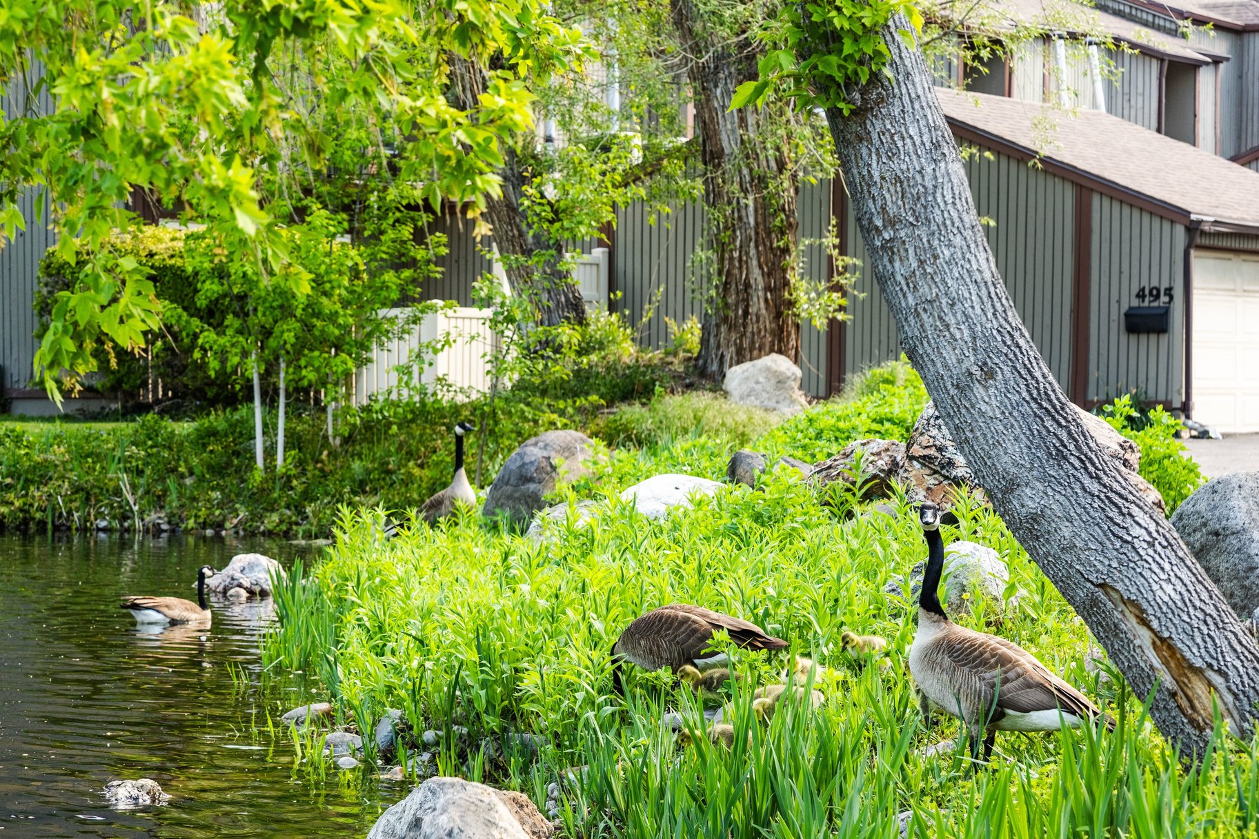  Darling Murray Condo in Quiet Area - 物件實景