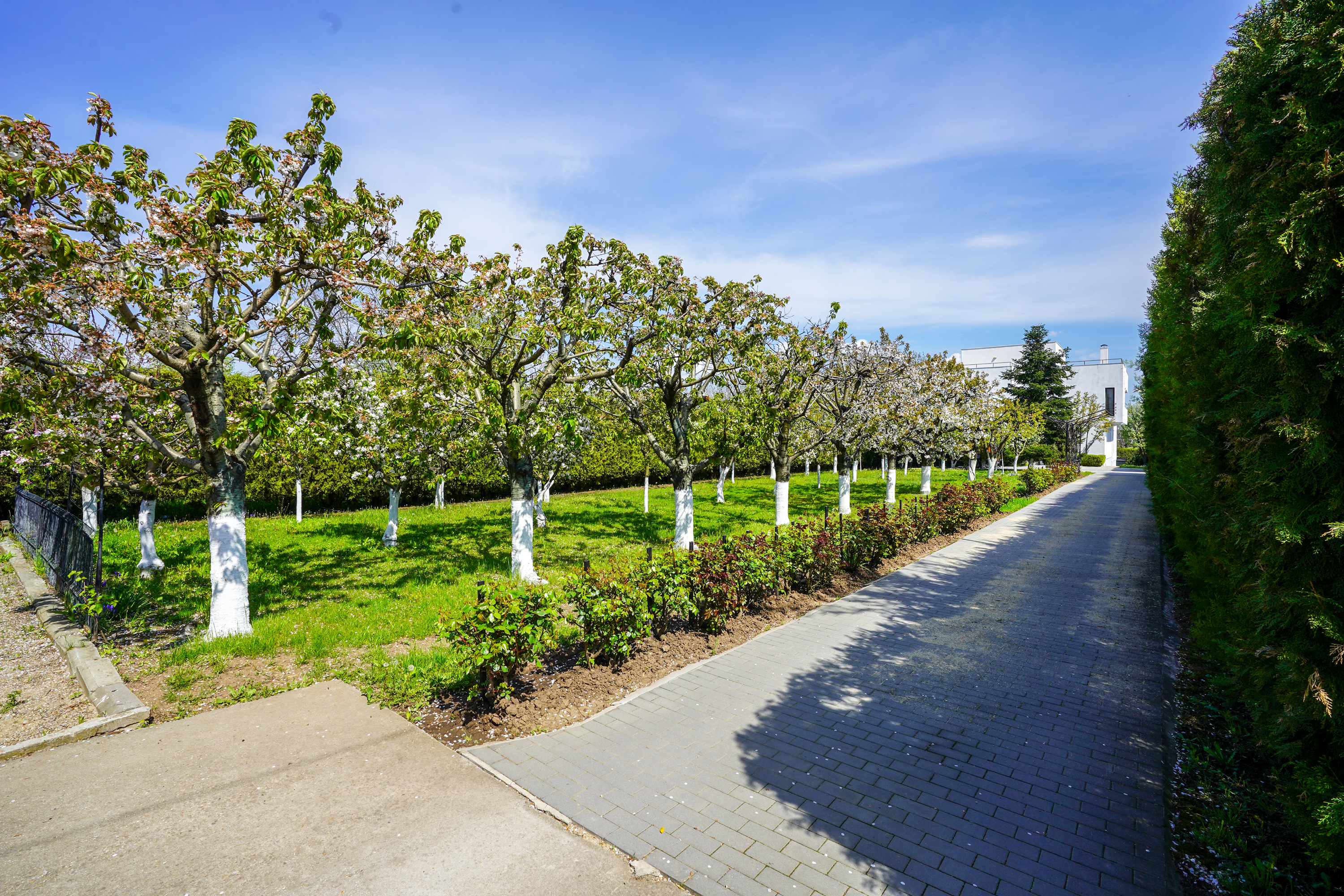  Luxury Villa in a Prime Educational Hub, Pipera - 物件實景