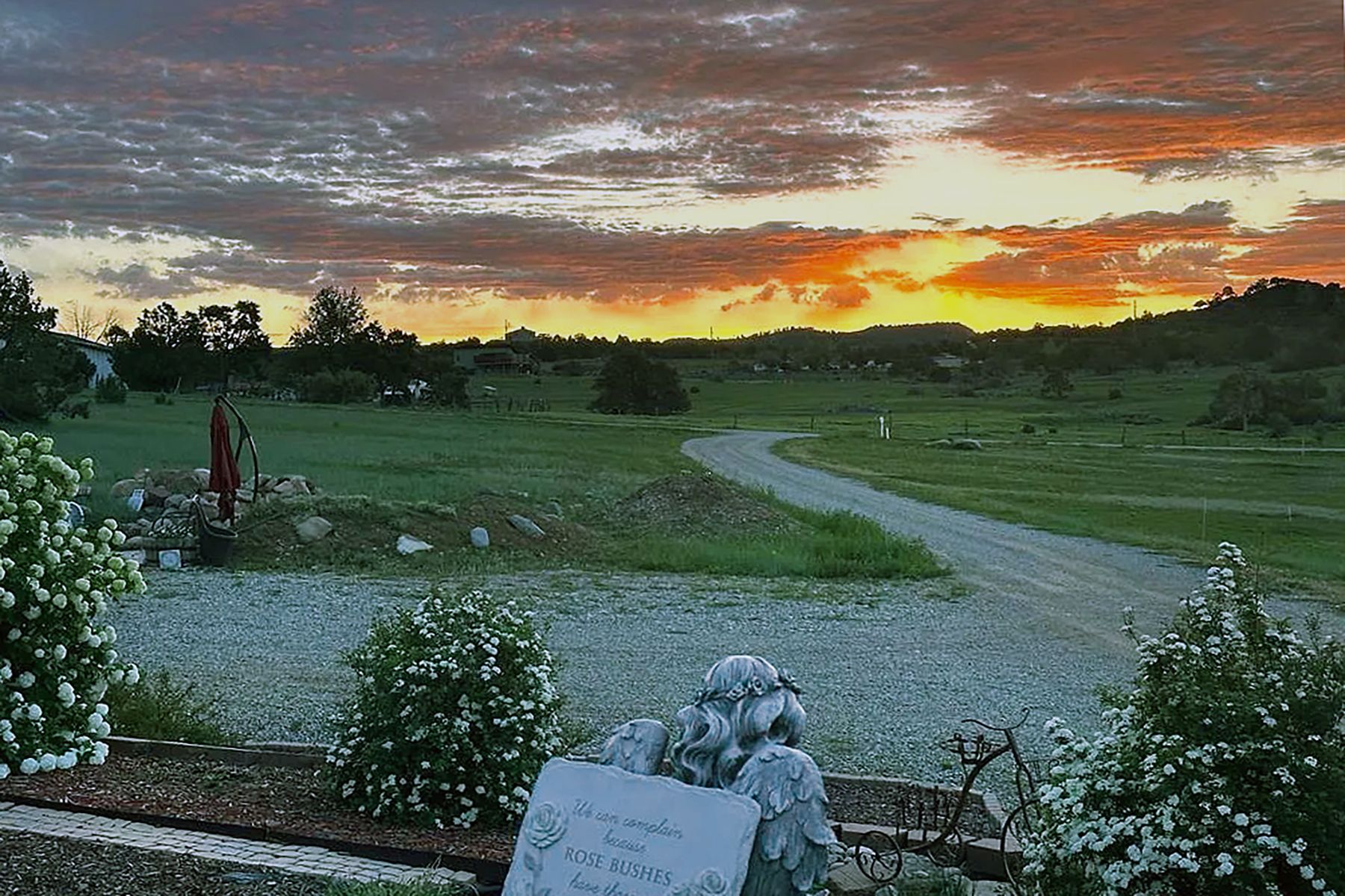  167 Hollow Ridge Road, Durango, CO 81301 - 物件實景