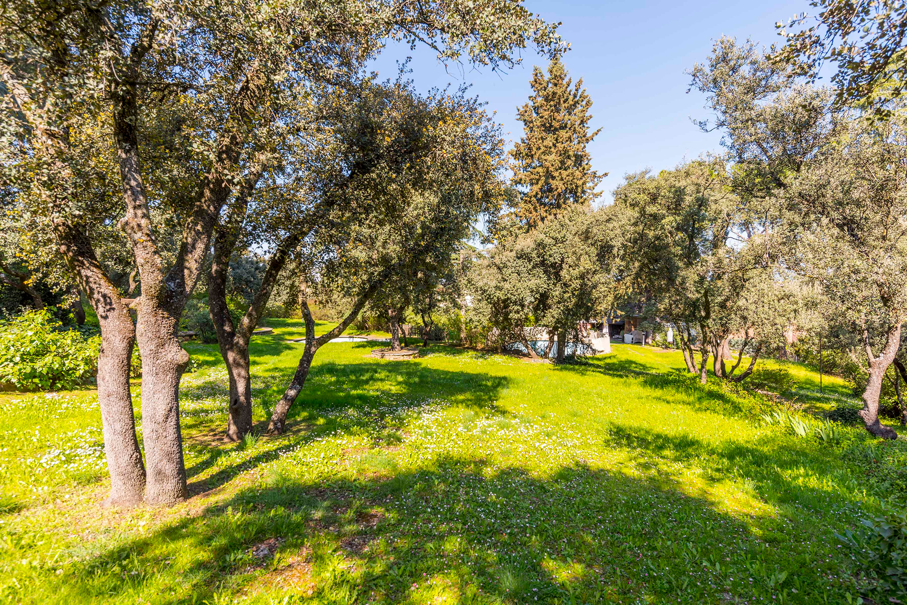  Wonderful hectare plot in La Moraleja - 物件實景