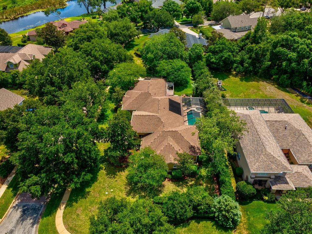 Lutz, Florida, 33549, United States, 4 Bedrooms Bedrooms, ,3 BathroomsBathrooms,Residential,For Sale,2049389