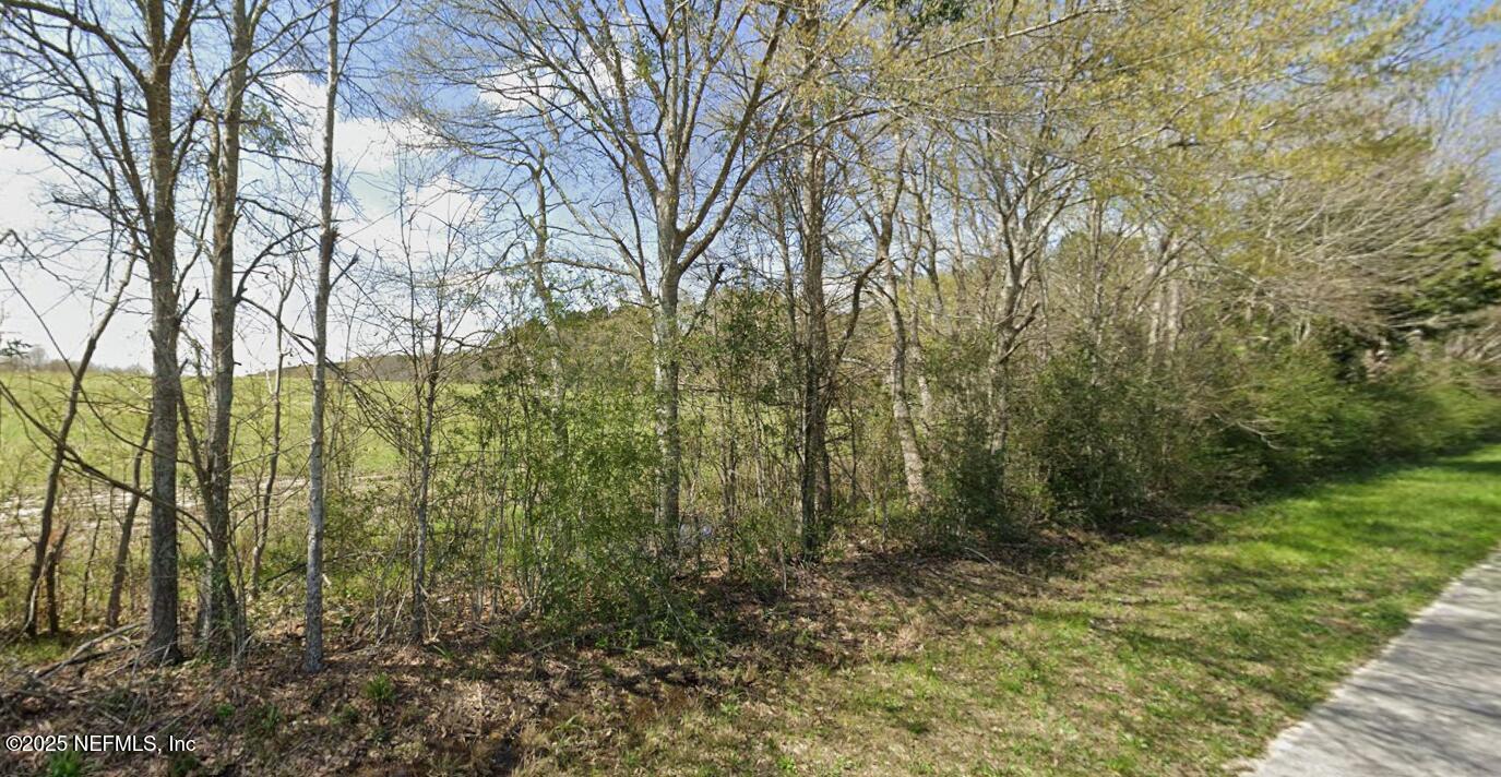 Paxton, Florida, 32567, United States, ,Land,For Sale,1988942