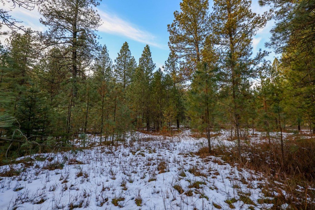 New Meadows, Idaho, 83654, United States, ,Land,For Sale,2005639
