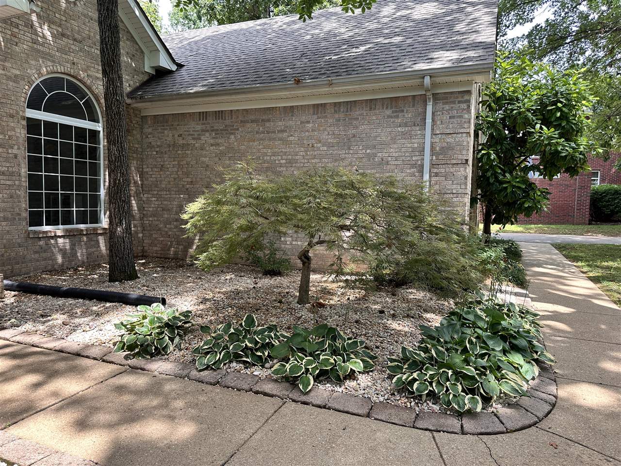 Bowling Green, Kentucky, 42104, United States, 5 Bedrooms Bedrooms, ,3 BathroomsBathrooms,Residential,For Sale,1907465