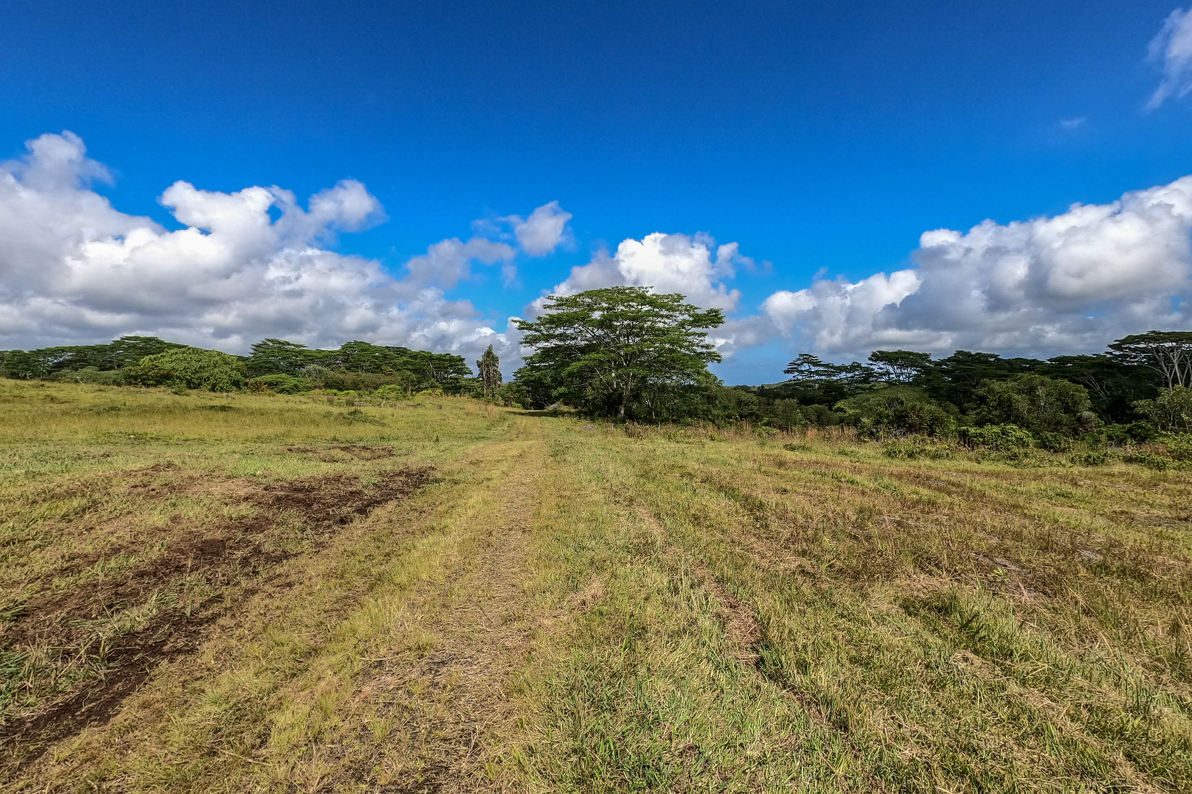  17-4870 South Rd, Kurtistown, HI, 96760 - 物件實景