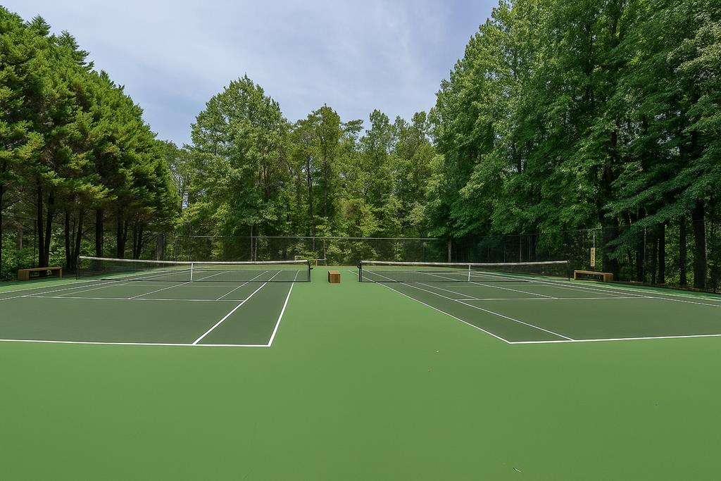 Ellijay, Georgia, 30536, United States, 4 Bedrooms Bedrooms, ,4 BathroomsBathrooms,Residential,For Sale,1888522