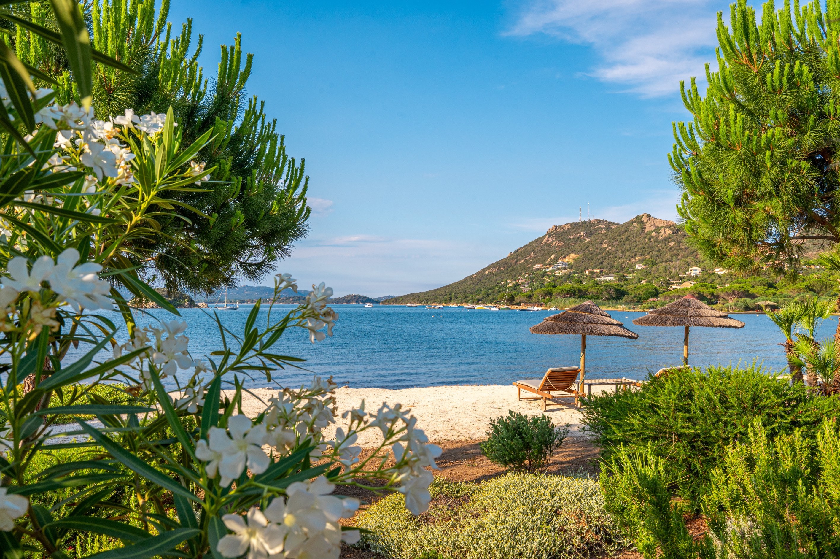  SALE: WATERFRONT PROPERTY – GULF OF PORTO-VECCHIO, CORSICA - 物件實景