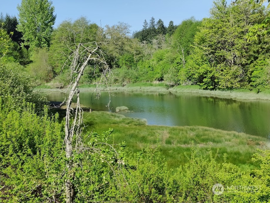 4245 Johnson Point Road NE, Olympia, Washington, 98516, United States, 2 Bedrooms Bedrooms, ,1 BathroomBathrooms,Residential,For Sale,4245 Johnson Point Road NE,1258437