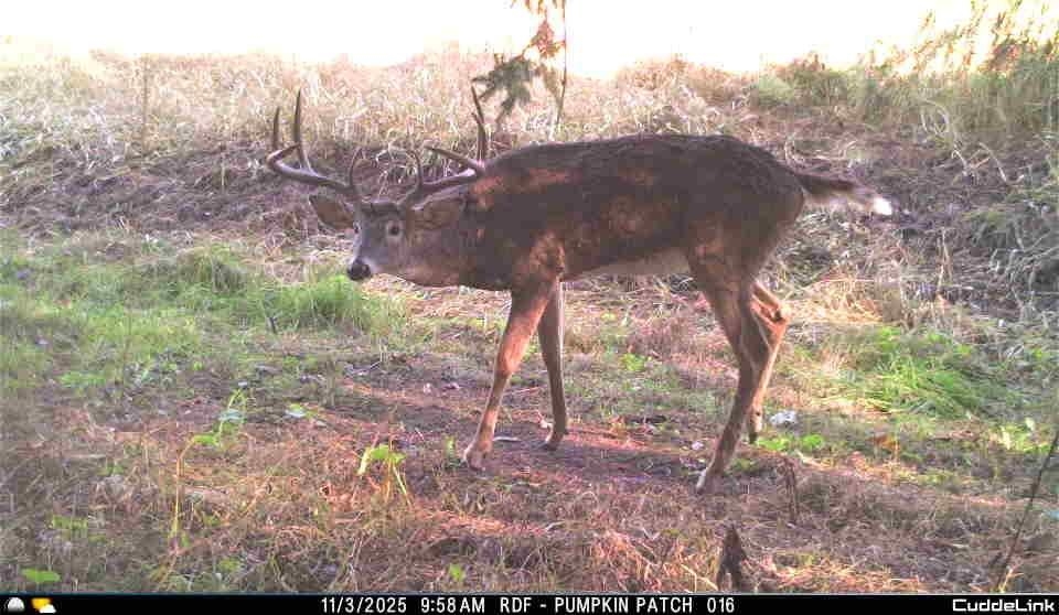 Muscoda, Wisconsin, 53573, United States, 3 Bedrooms Bedrooms, ,3 BathroomsBathrooms,Residential,For Sale,1990387