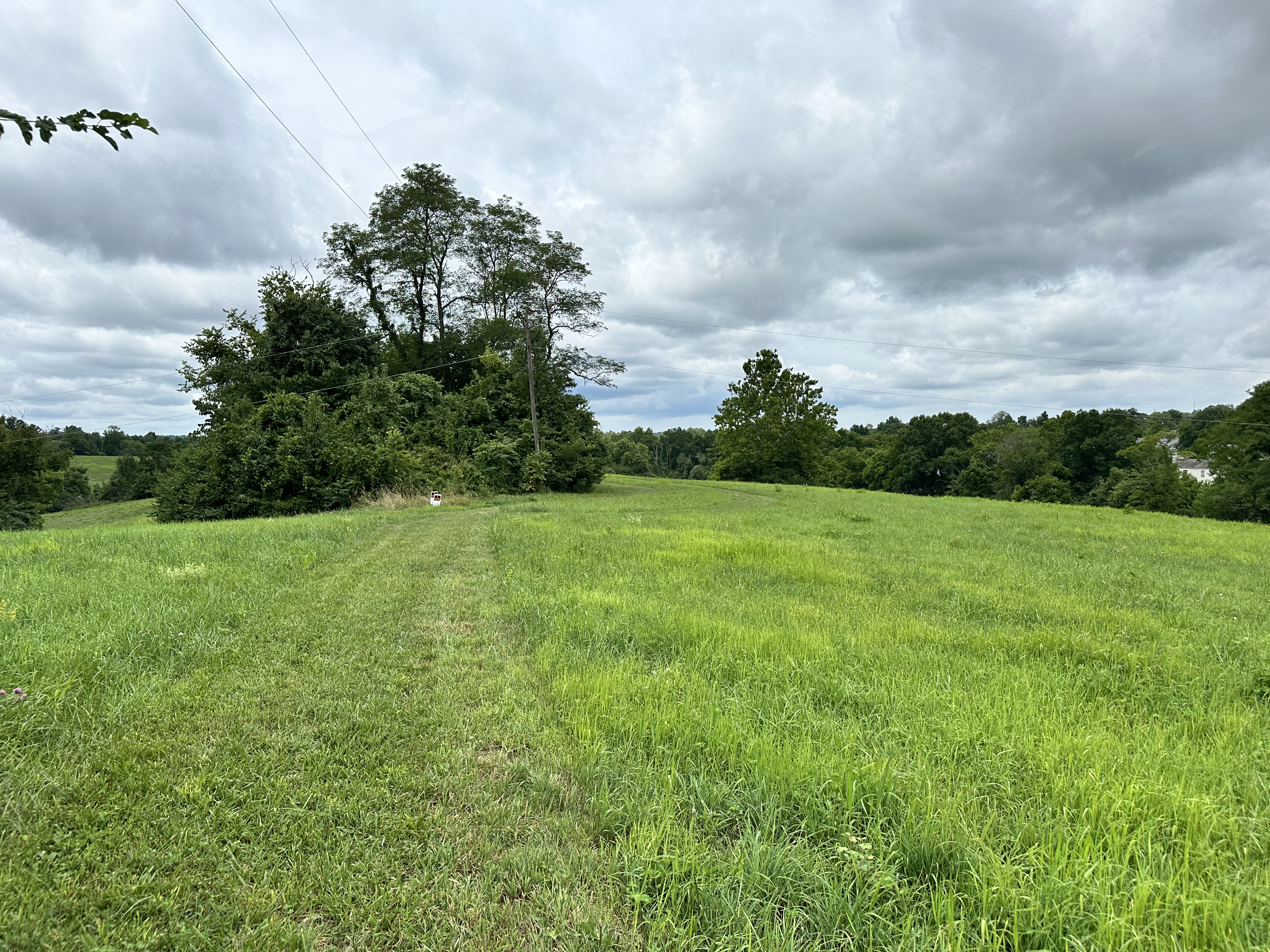 Walton, Kentucky, 41094, United States, ,Land,For Sale,1981513
