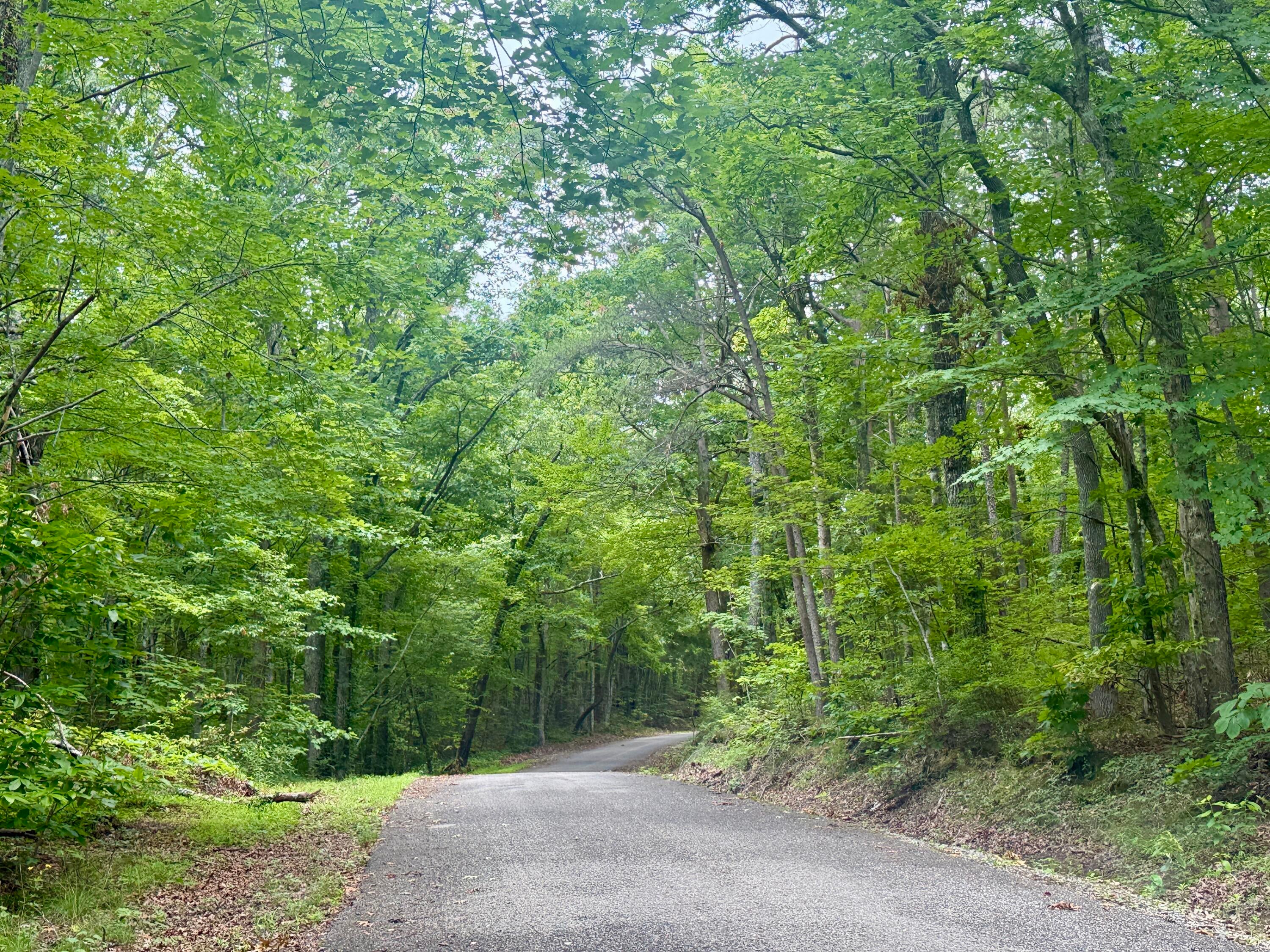 Dunlap, Tennessee, 37327, United States, ,Land,For Sale,1877286