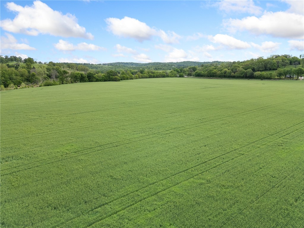 Alpena, Arkansas, 72611, United States, ,Land,For Sale,1903921
