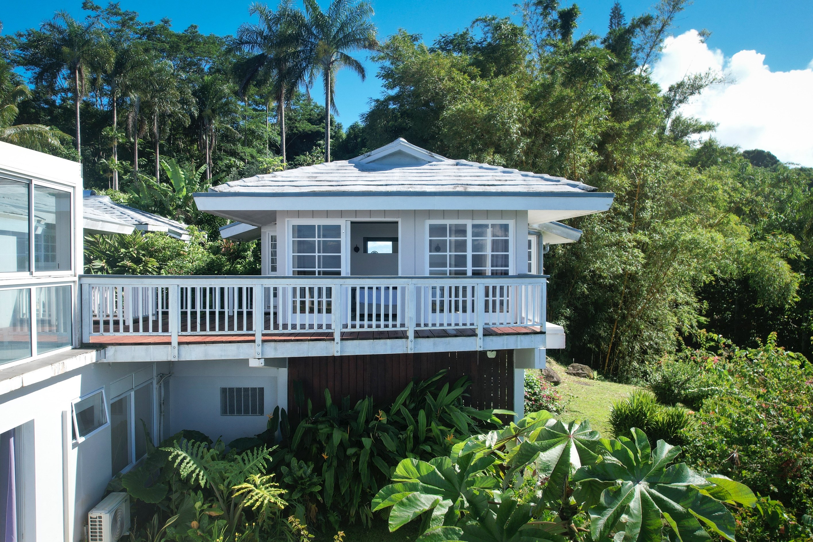  Tahiti – Toahotu – Exceptional Villa Surrounded by Nature with Lagoon View - 物件實景