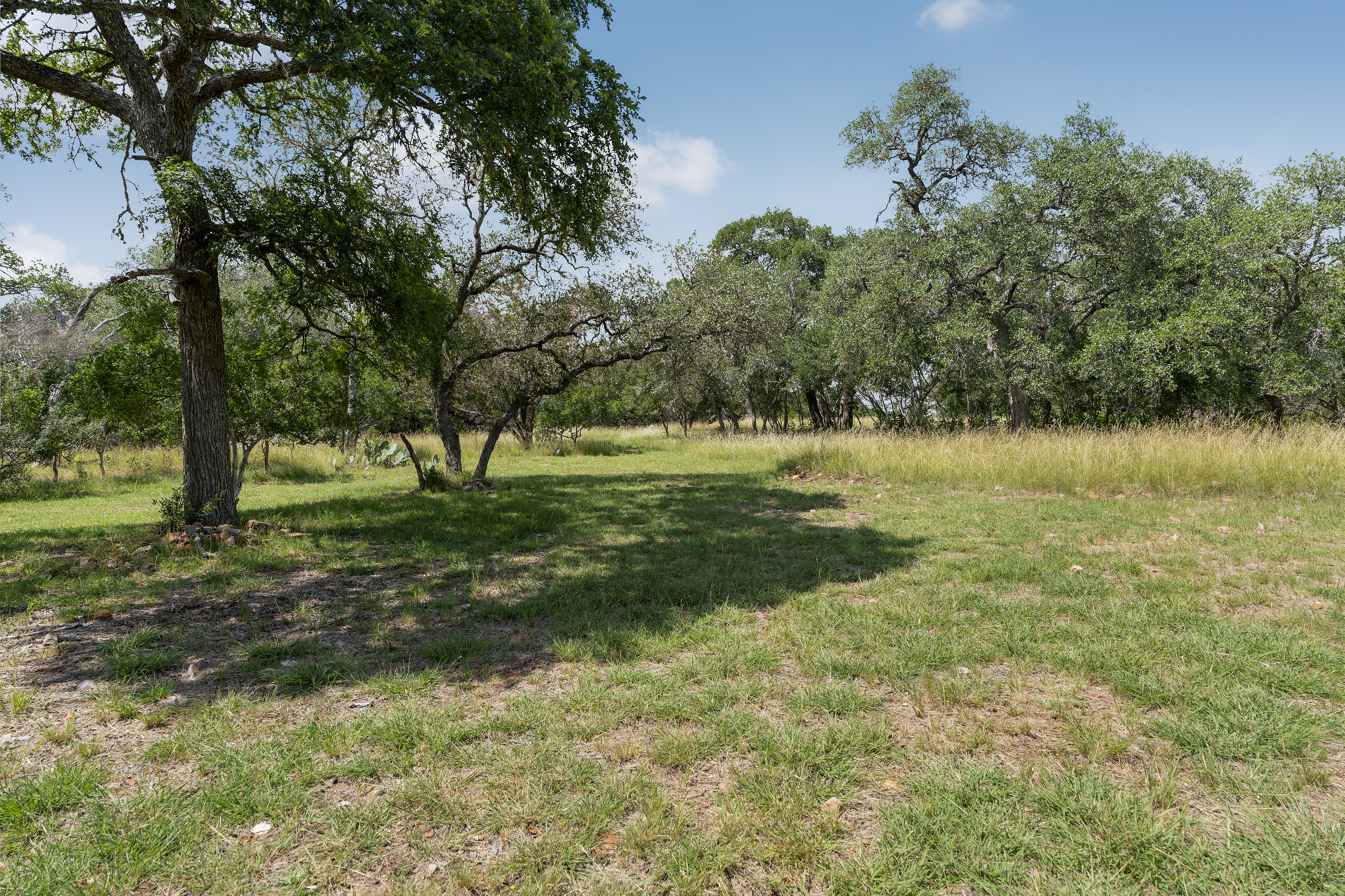  A Modern Hill Country Retreat on 5 Lush Acres - 物件實景