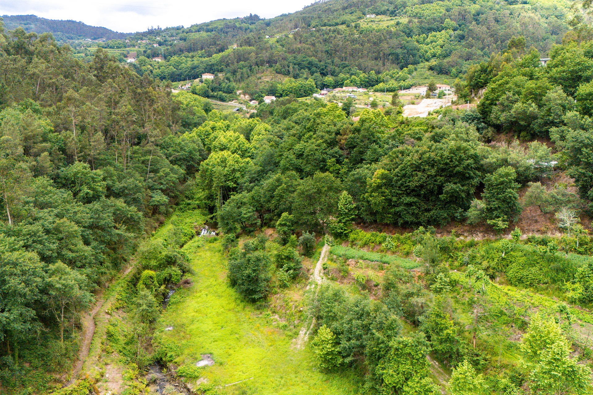  Farm, 3 bedrooms, for Sale - 物件實景