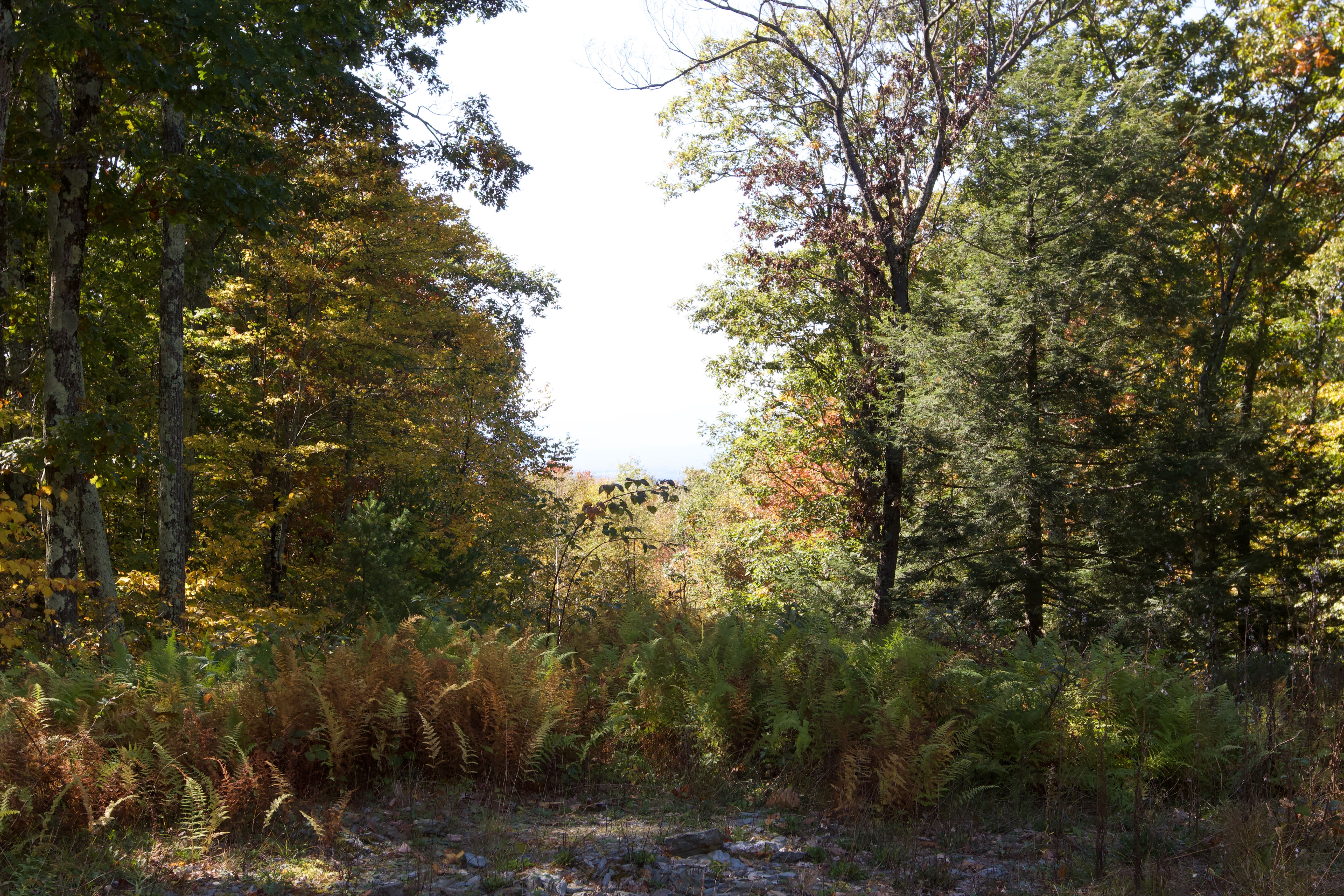  Mercer Mountain Road, Canaan, NY 12060 - 物件實景