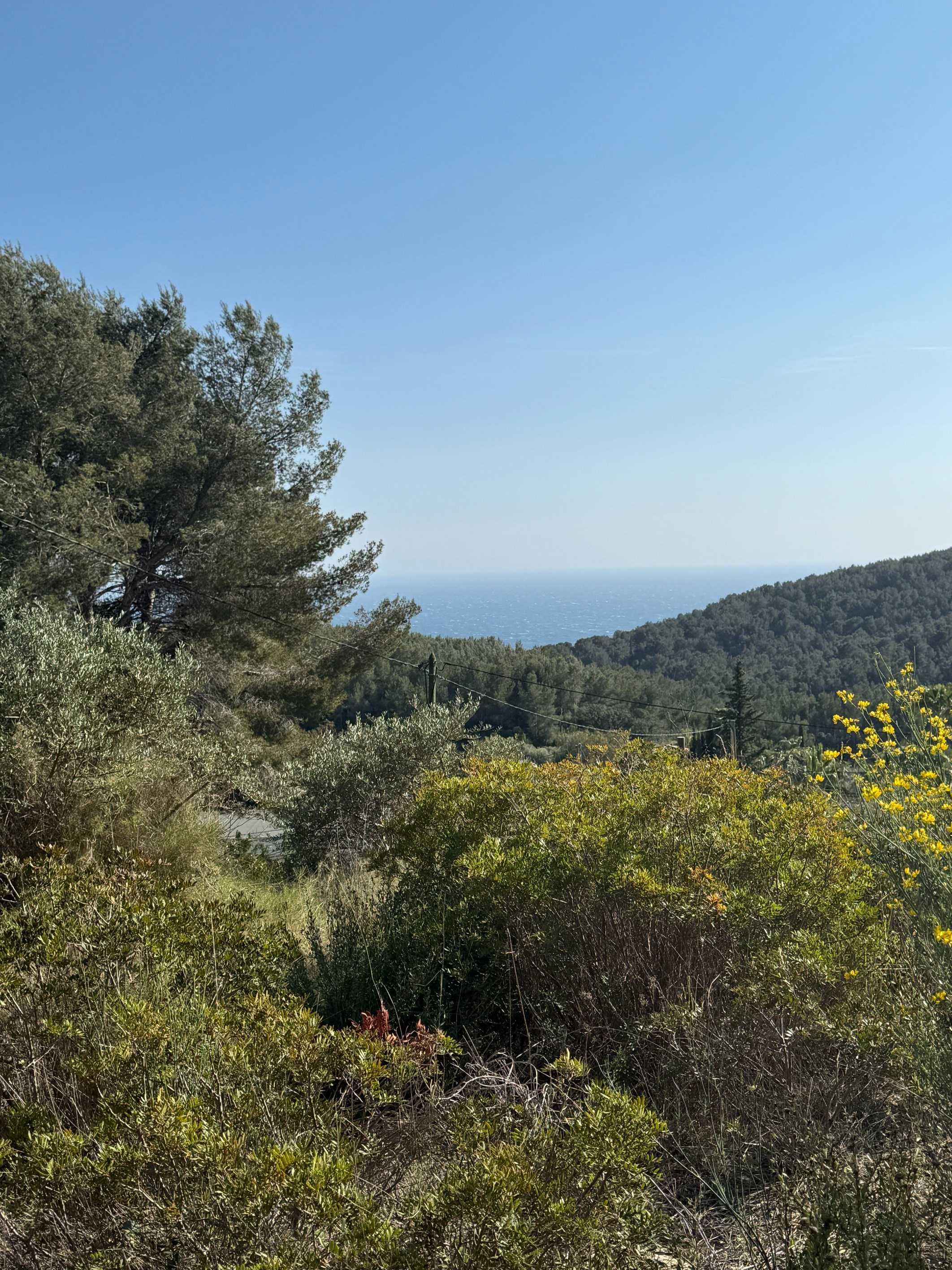  Bandol – Panoramic Sea View Building Plot for Sale - 物件實景
