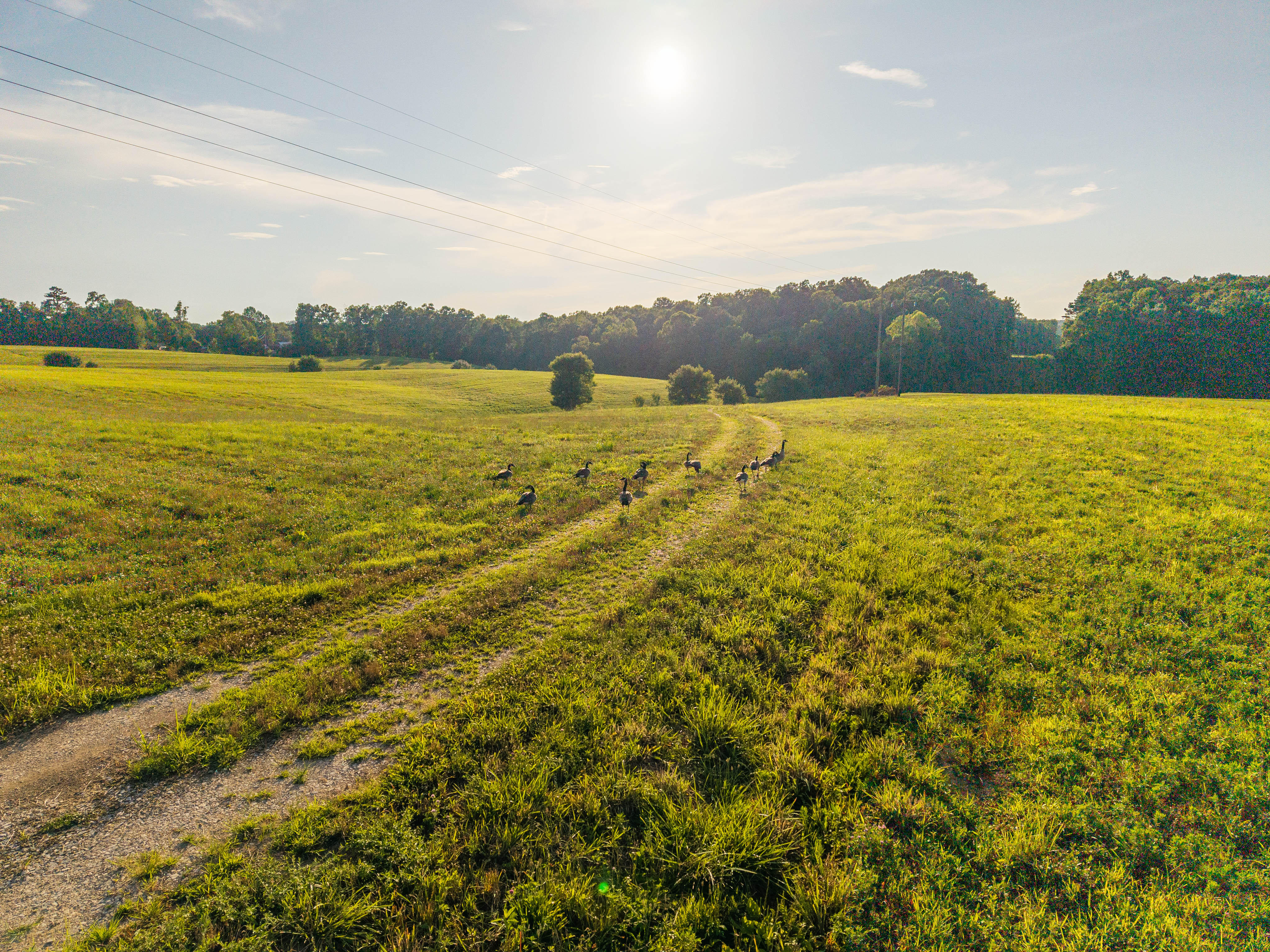 Corbin, Kentucky, 40701, United States, ,Residential,For Sale,1904365