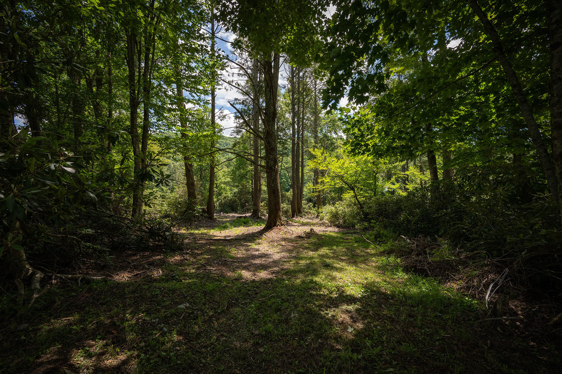  ROAN MOUNTAIN - RIPSHIN LAKE CORPORATION - 物件實景