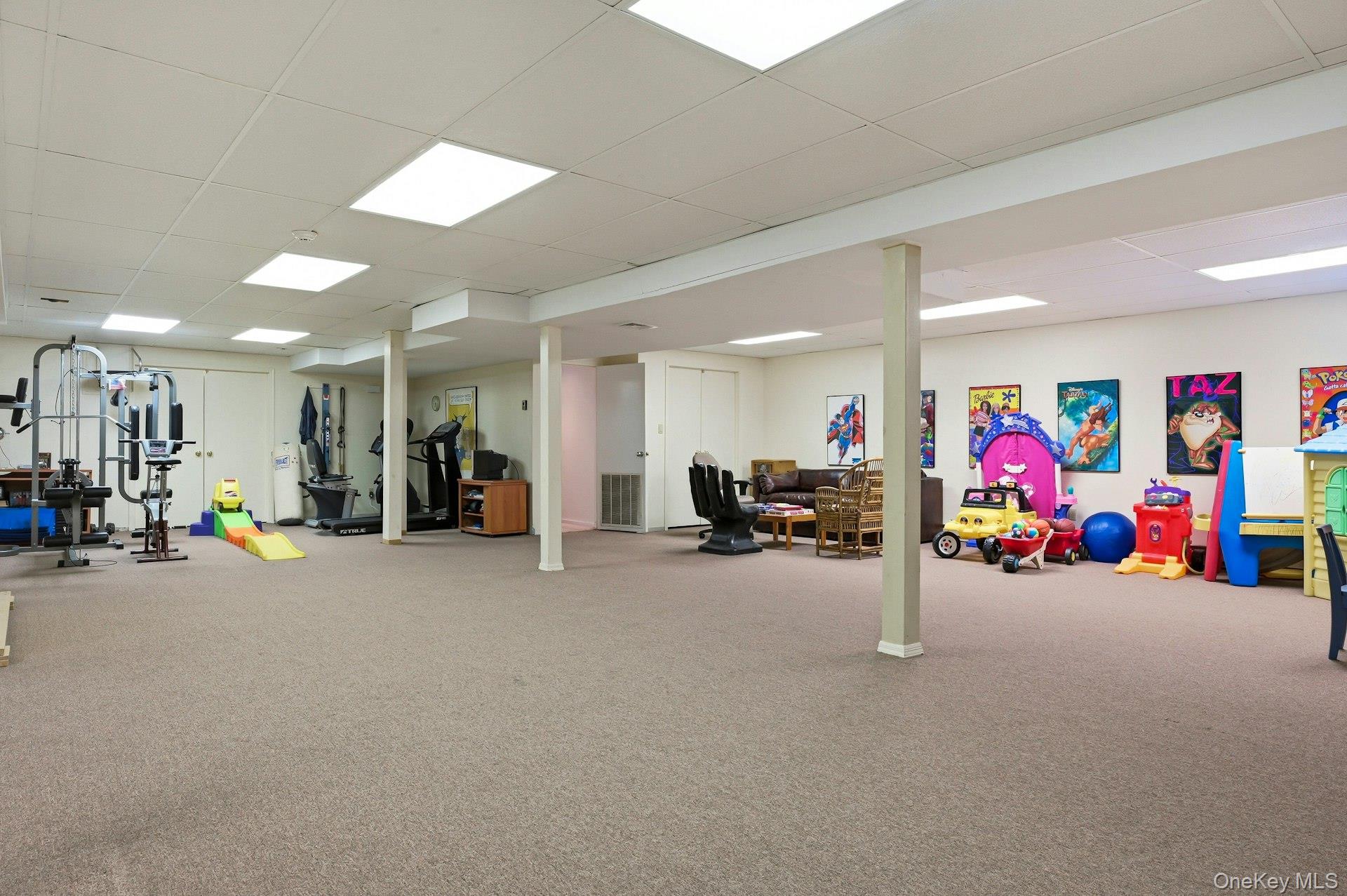  17 Hastings Road, Old Westbury, NY, 11568 - 物件實景