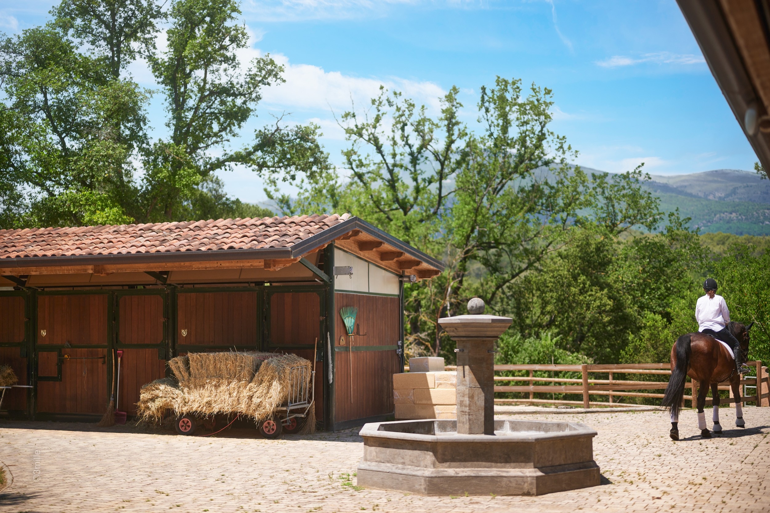  Roquefort-les-Pins equestrian estate 24 hectares 700 sqm villa near Cannes Mona… - 物件實景