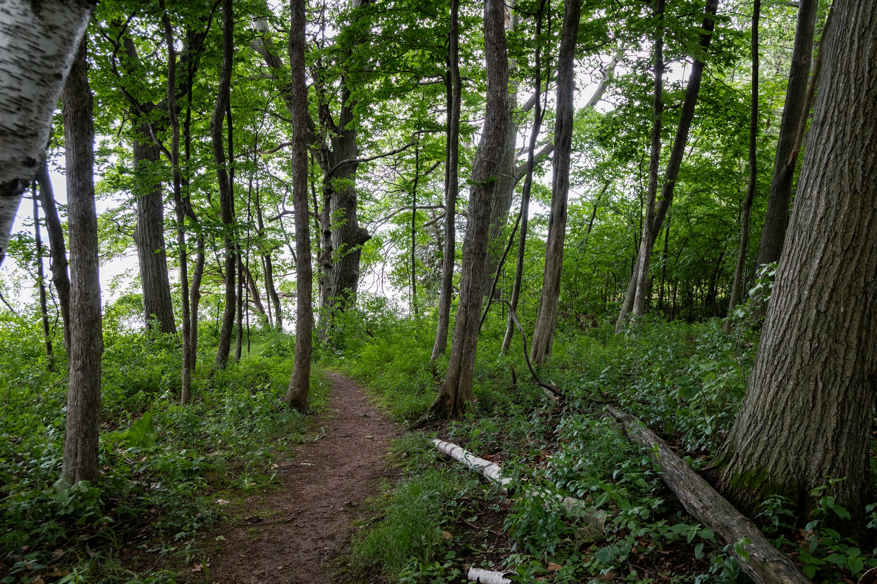  1333 Colchester Point Road - 物件實景