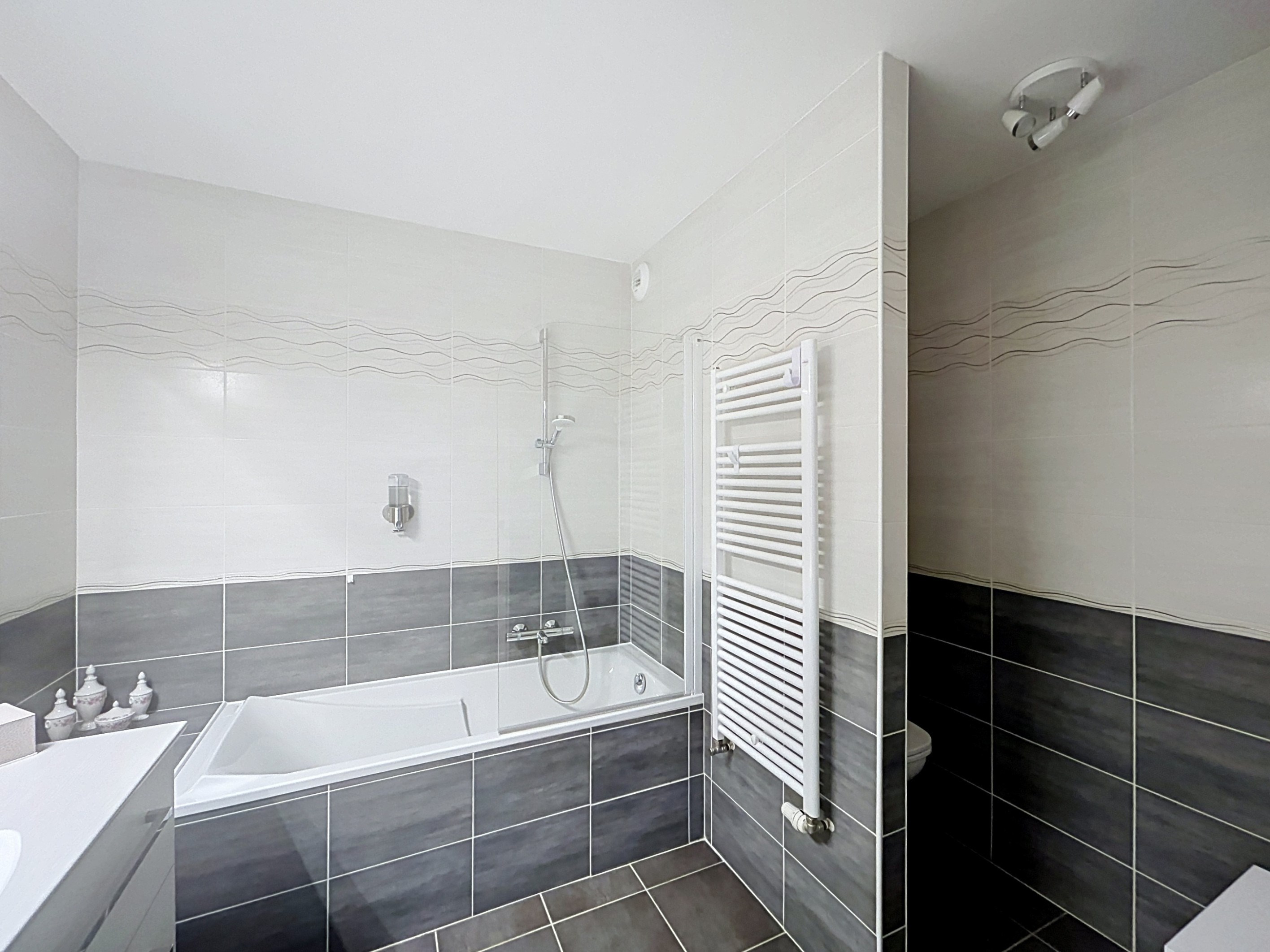  PENTHOUSE APARTMENT FOR SALE IN EVIAN-LES-BAINS - 物件實景