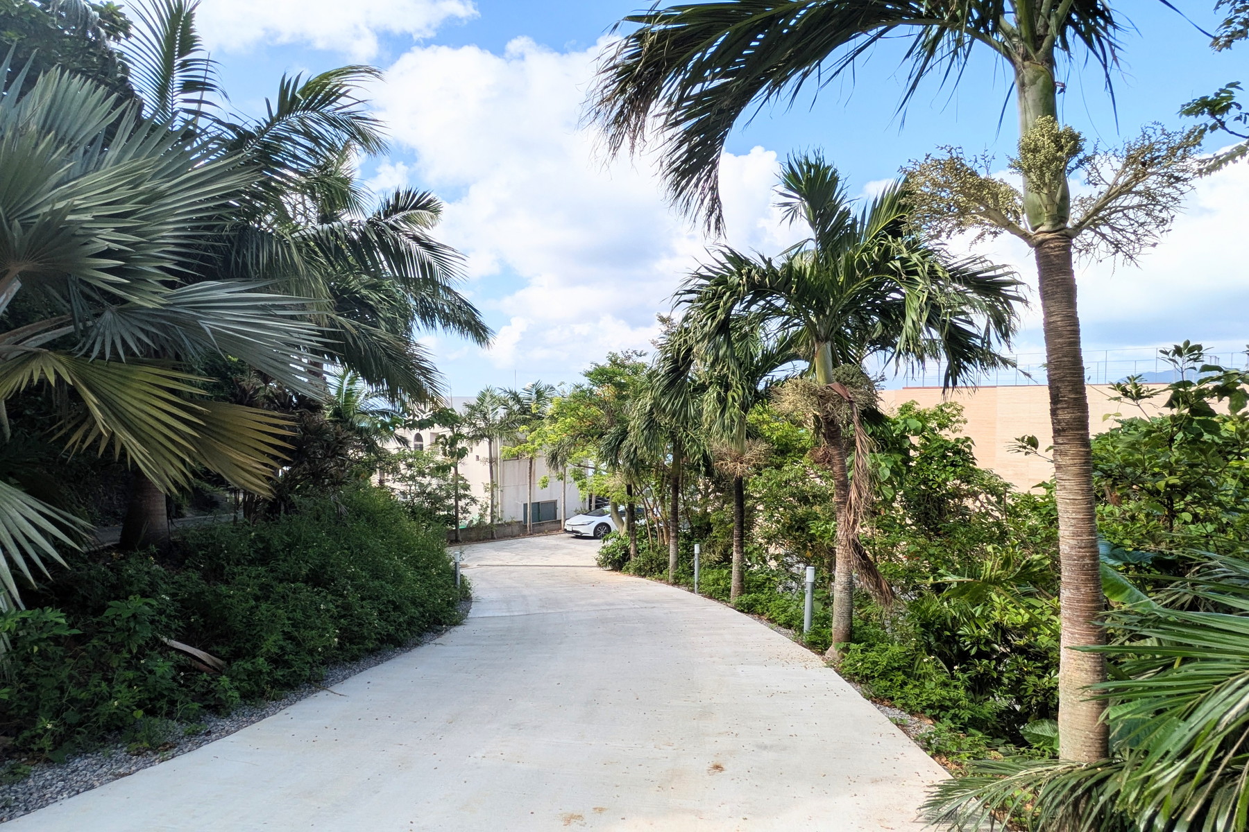  Detached House in Ihara, Ishigaki City - 物件實景