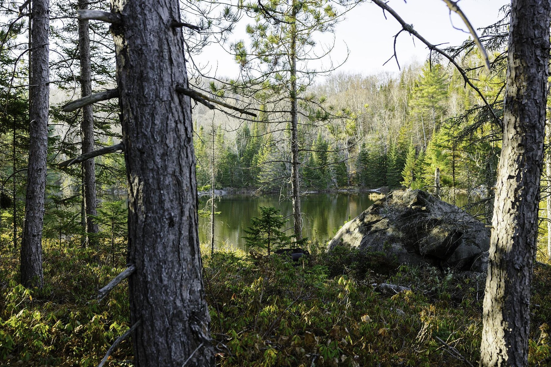  Sainte-Béatrix, Lanaudière - 物件實景