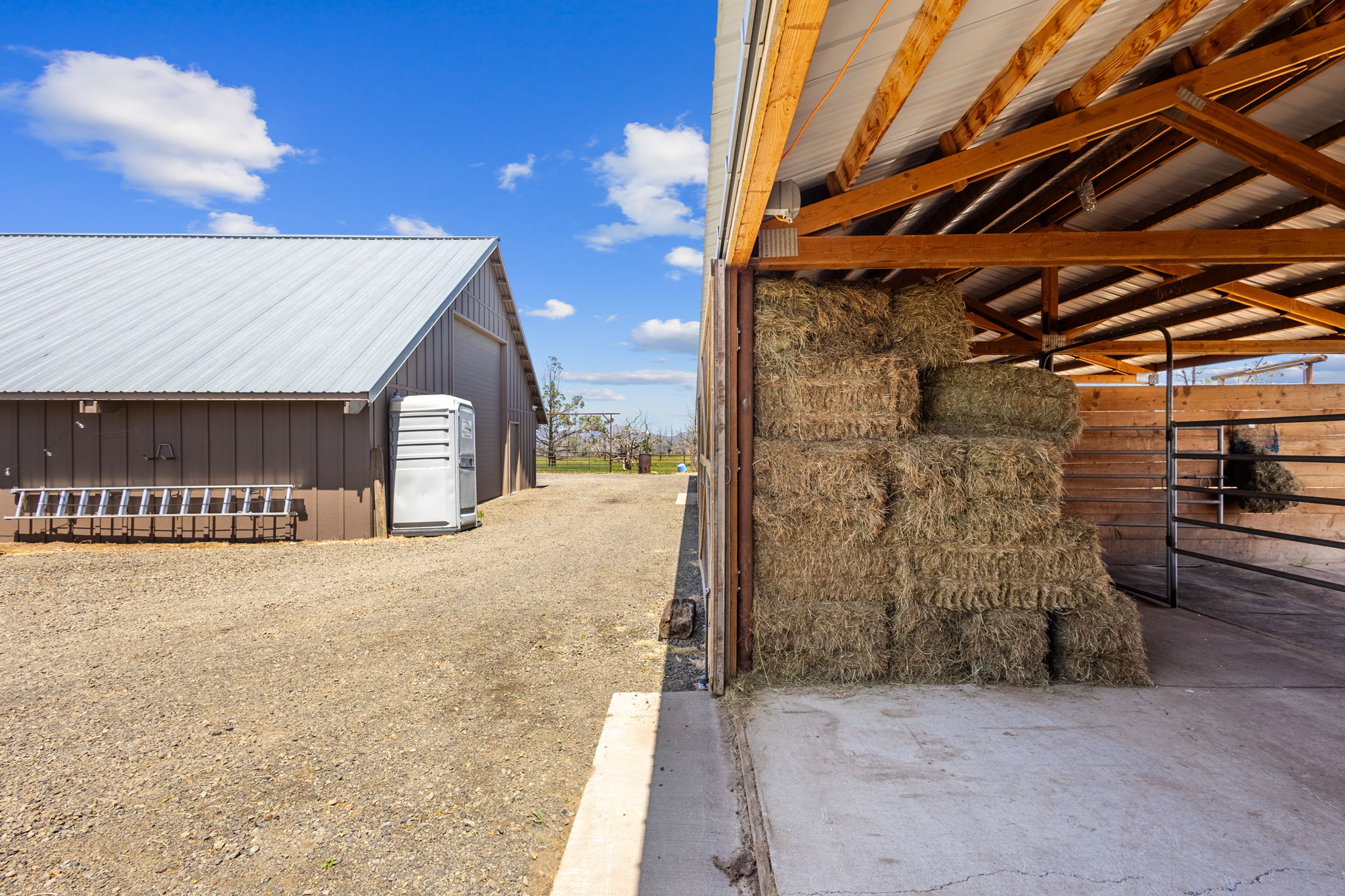 13501 SW Riggs Rd., Powell Butte, Oregon, 97753, United States, 3 Bedrooms Bedrooms, ,4 BathroomsBathrooms,Farm And Agriculture,For Sale,13501 SW Riggs Rd.,1623020