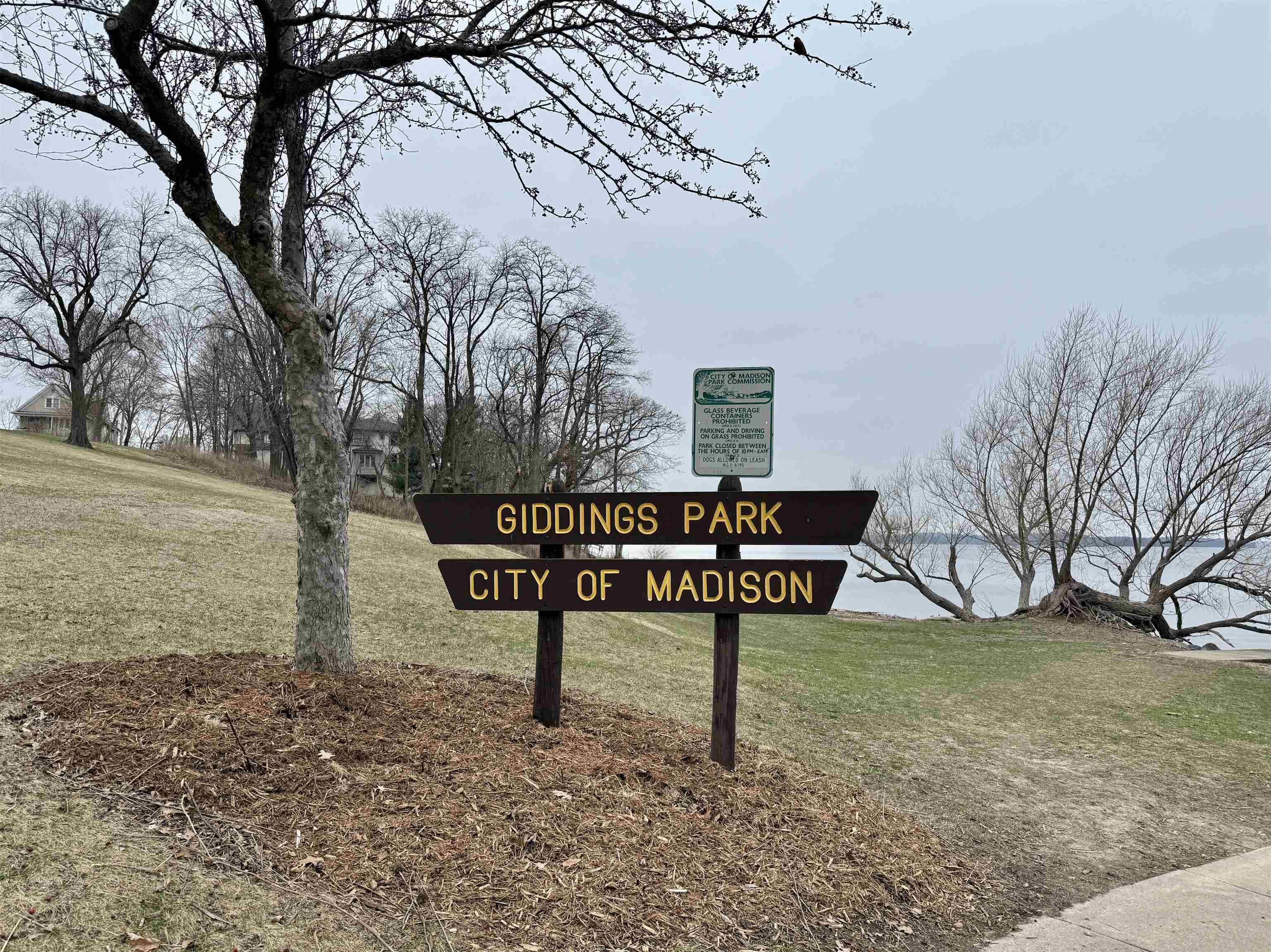 Madison, Wisconsin, 53703, United States, 5 Bedrooms Bedrooms, ,2 BathroomsBathrooms,Residential,For Sale,1979001