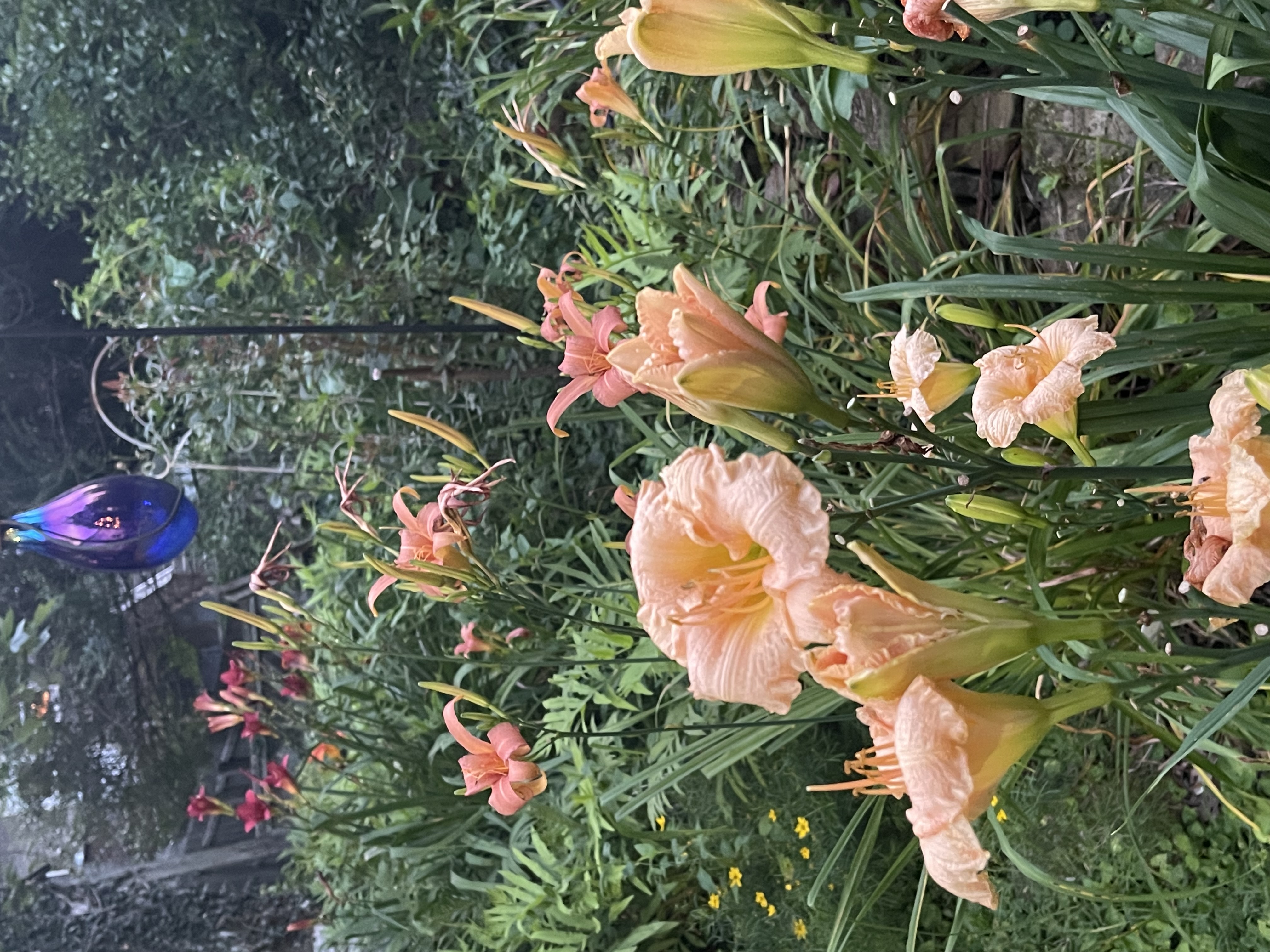 Frankfort, Kentucky, 40601, United States, 6 Bedrooms Bedrooms, ,3 BathroomsBathrooms,Residential,For Sale,1994264