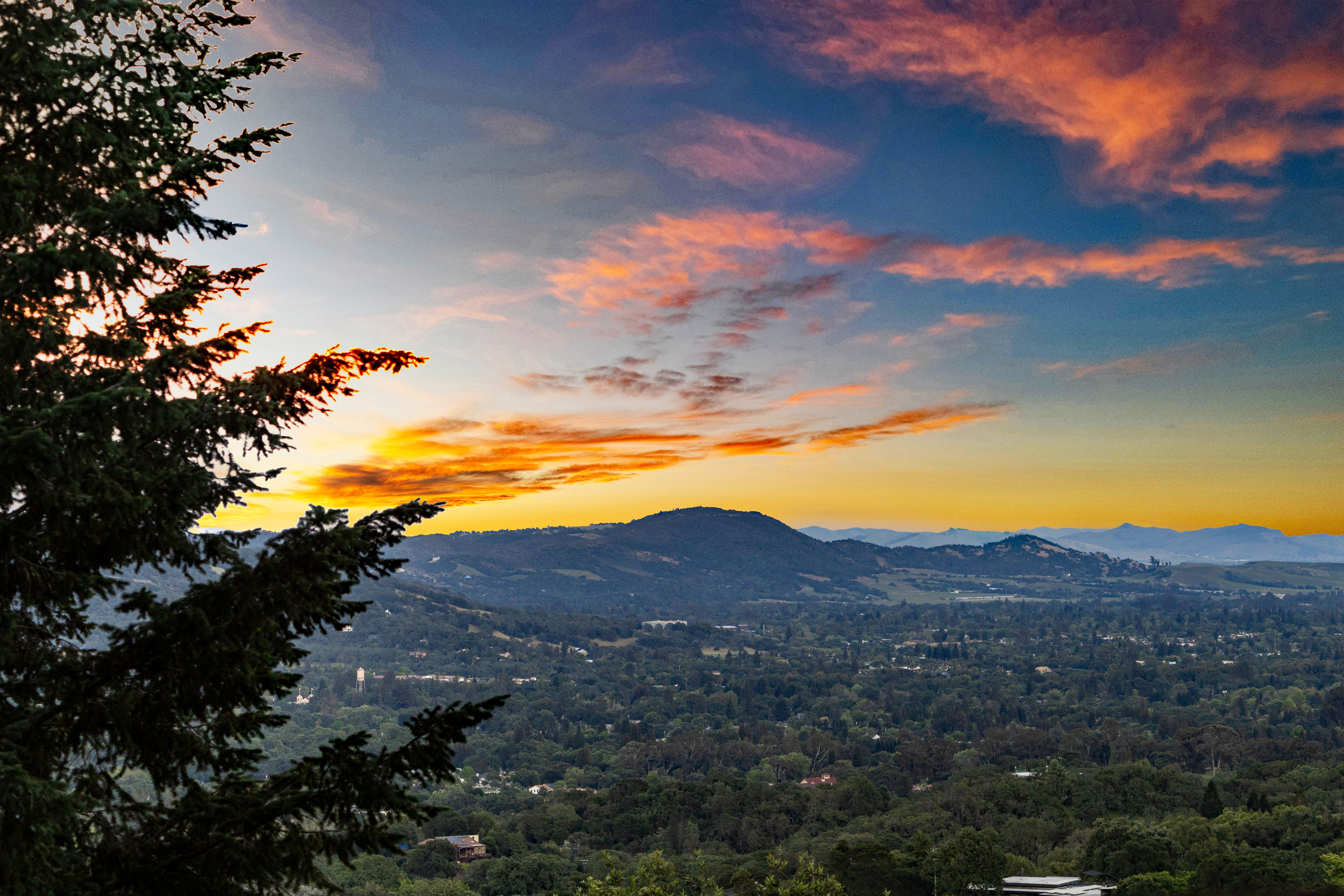  Iconic Mid-Century Retreat with Sweeping Sonoma Valley Views - 物件實景