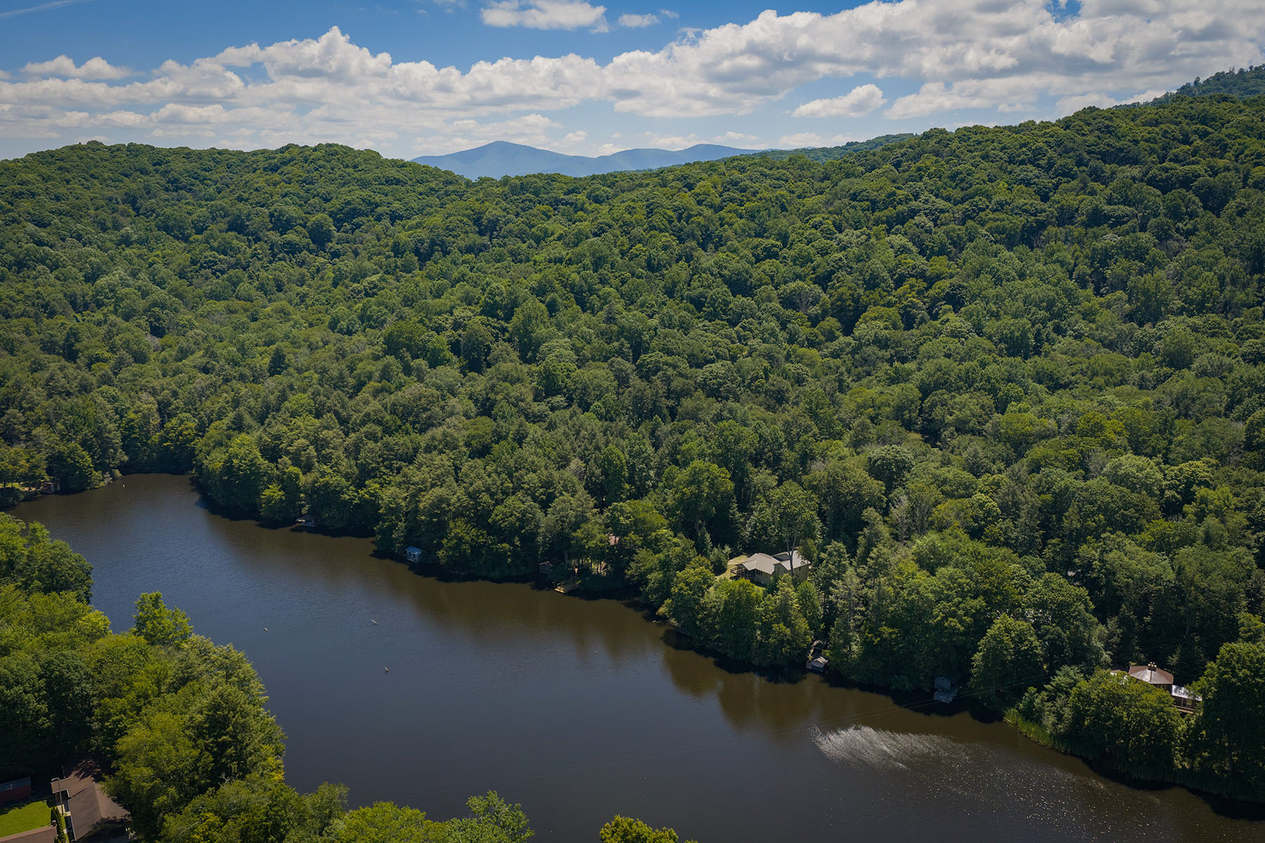  ROAN MOUNTAIN - RIPSHIN LAKE CORPORATION - 物件實景