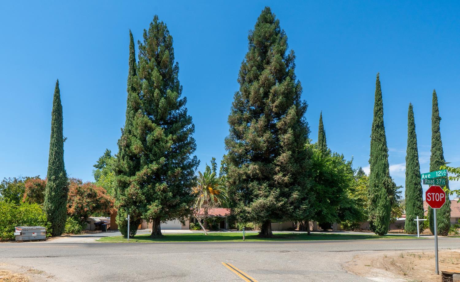 Madera, California, 93636, United States, 4 Bedrooms Bedrooms, ,3 BathroomsBathrooms,Residential,For Sale,1914186