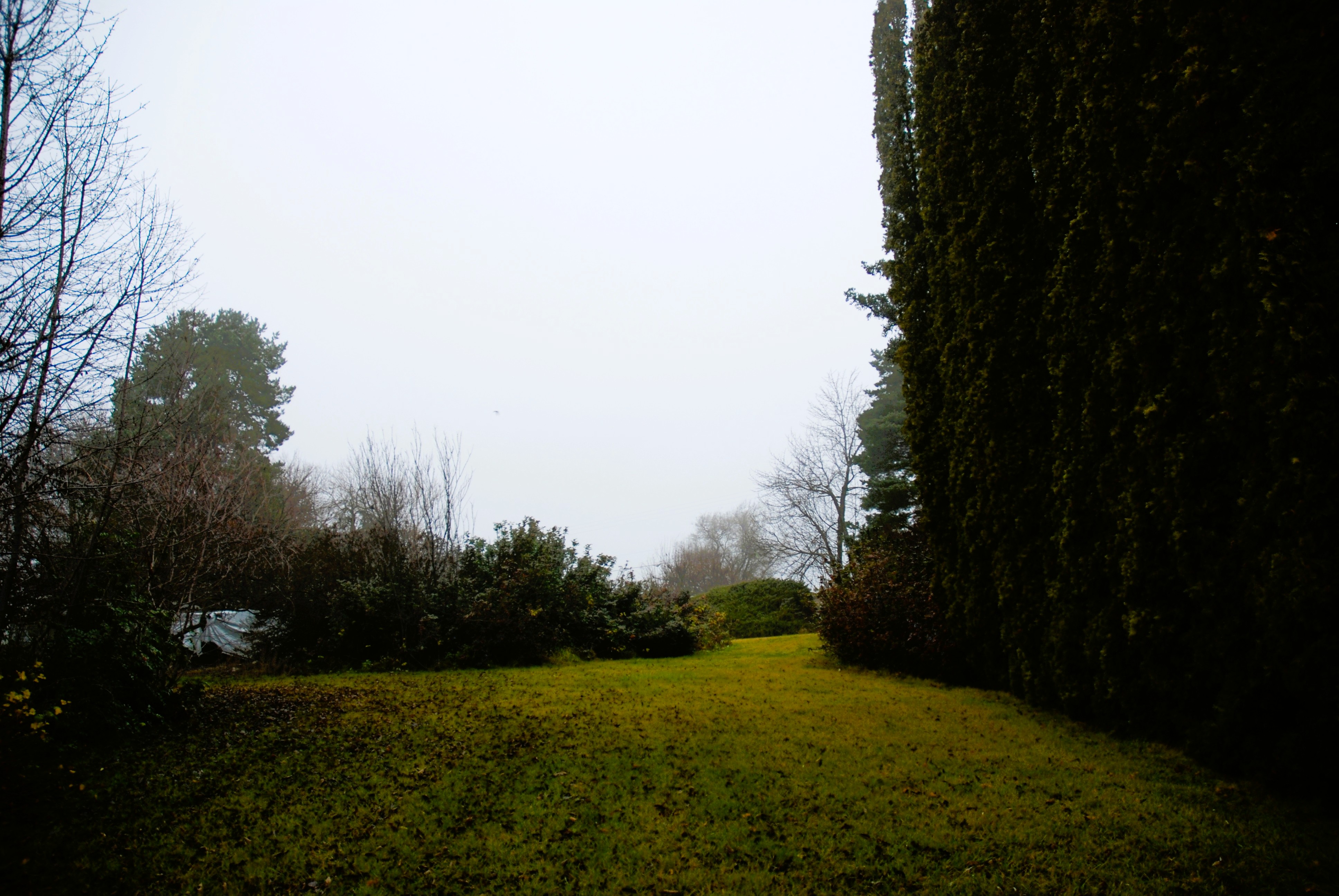 Warden, Washington, 98857, United States, 4 Bedrooms Bedrooms, ,1 BathroomBathrooms,Residential,For Sale,2006383