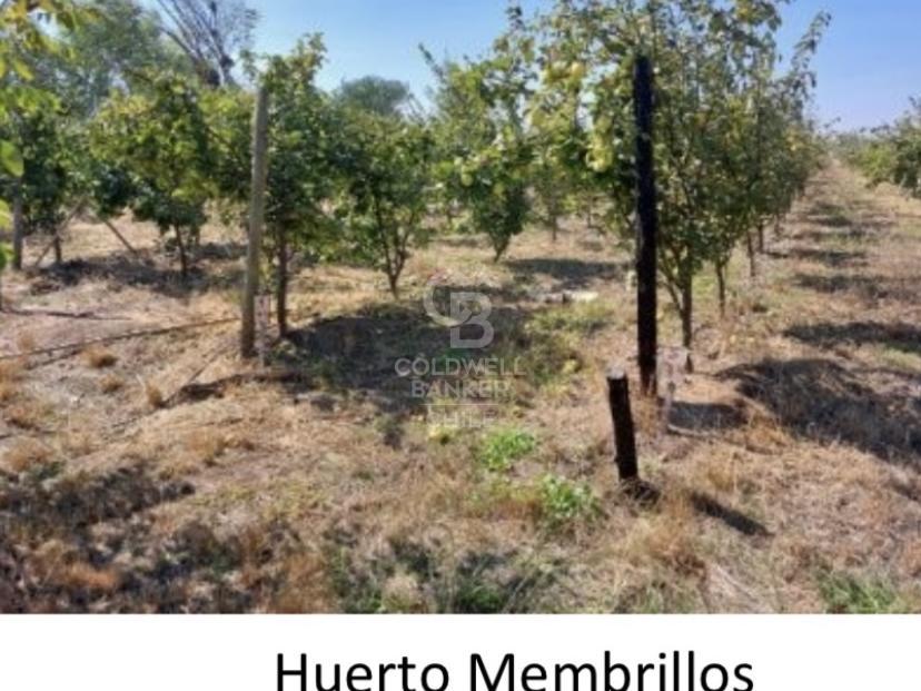 San Carlos, Chile, ,Residential,For Sale,1708027