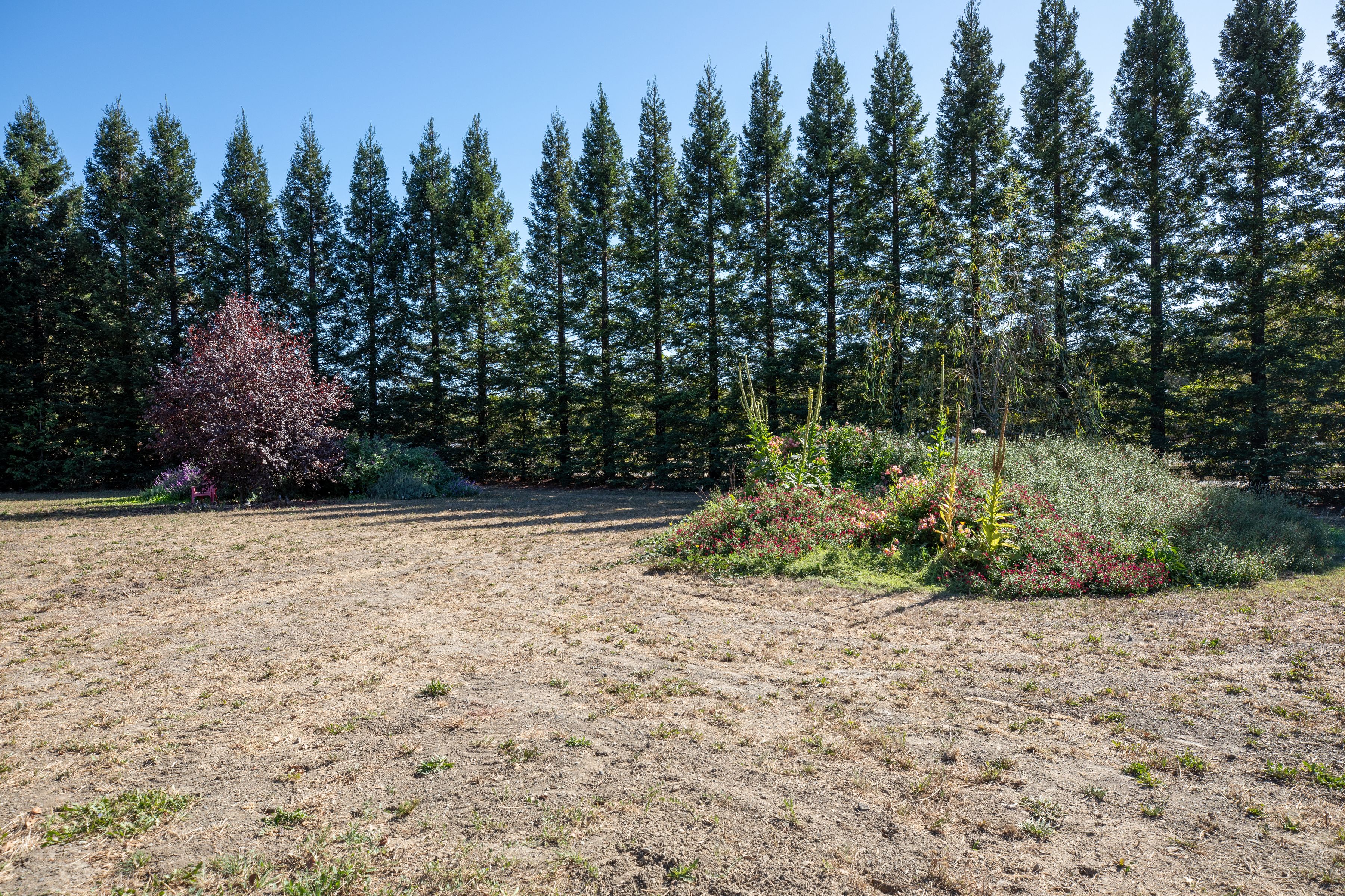  3290 Somers Street, Santa Rosa - 物件實景