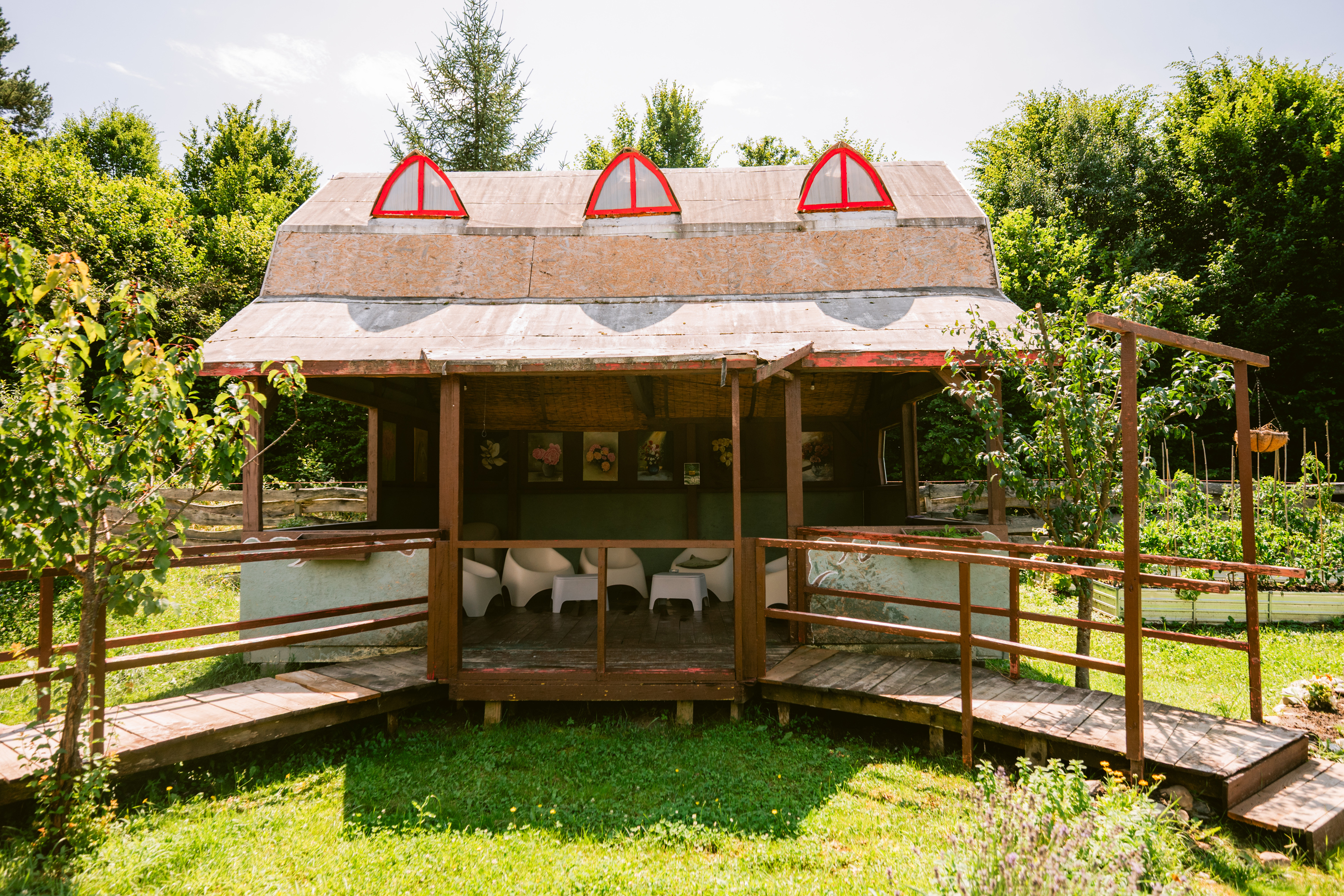  The Hobbit Houses - Dealul Verde, a Unique Retreat in the Heart of Transylvania - 物件實景