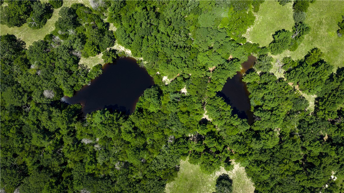 Midway, Texas, 75852, United States, 1 Bedroom Bedrooms, ,1 BathroomBathrooms,Residential,For Sale,1957289