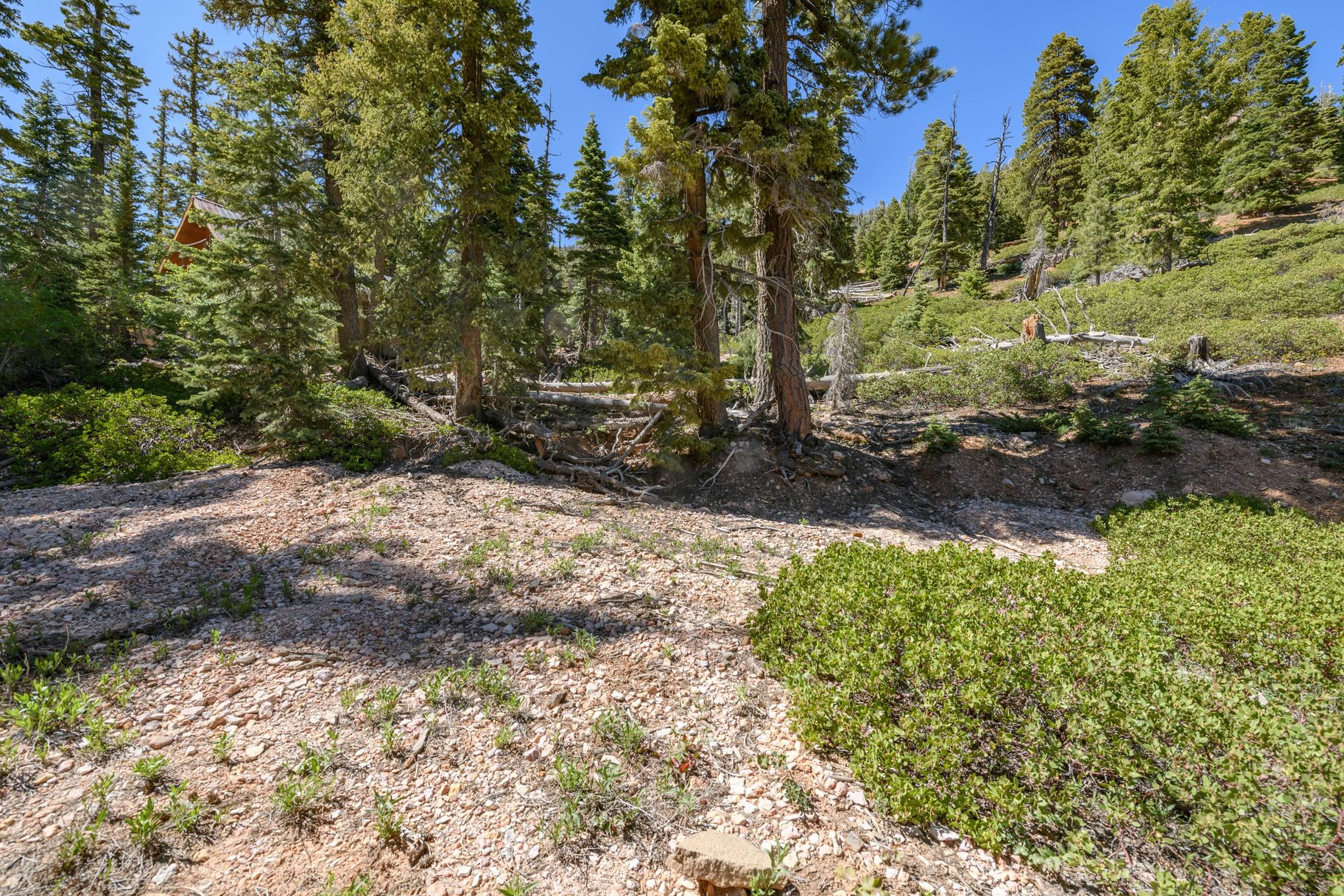  Quiet Mountain Retreat Near Navajo Lake - 物件實景