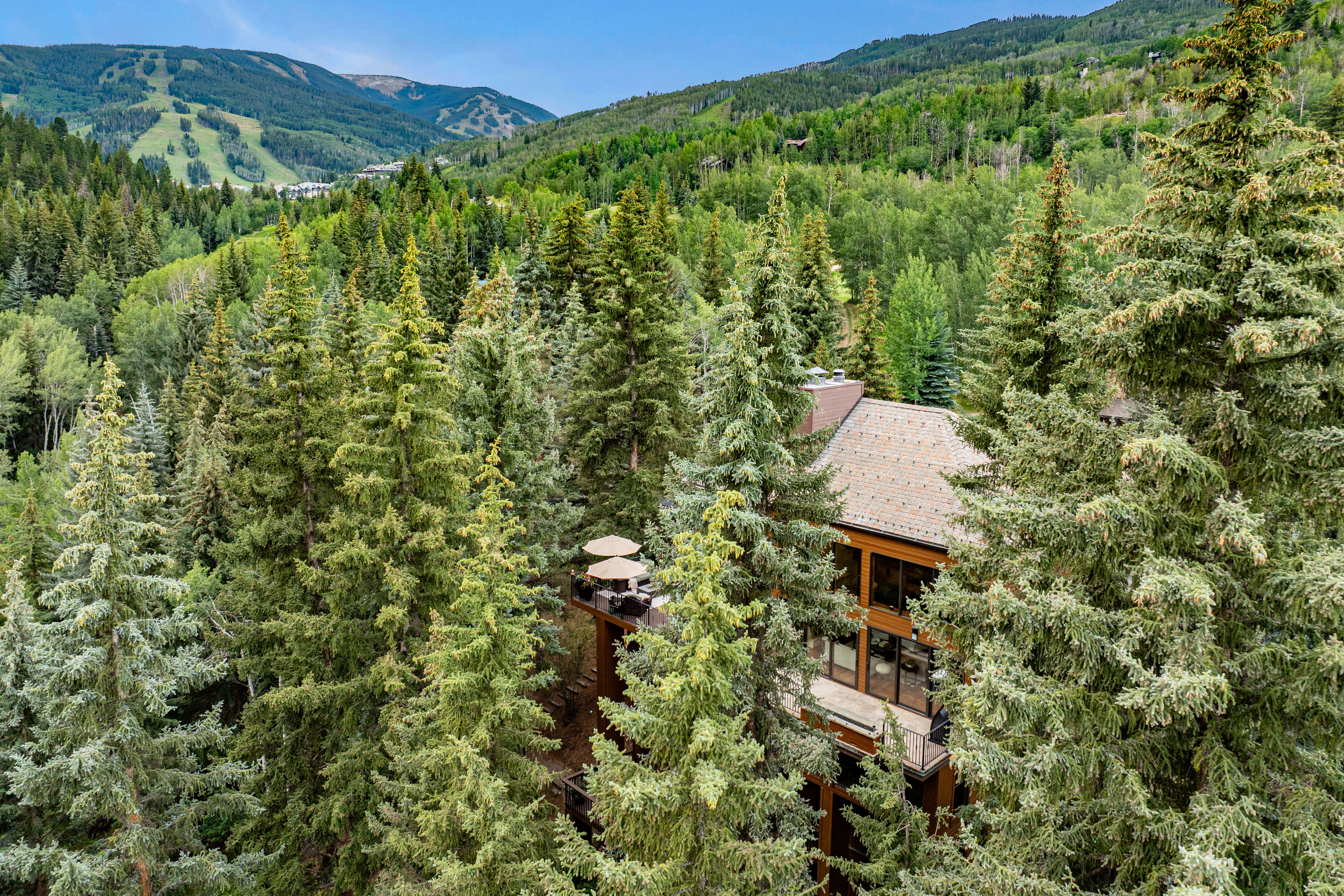  Mountain Living in One of Colorado